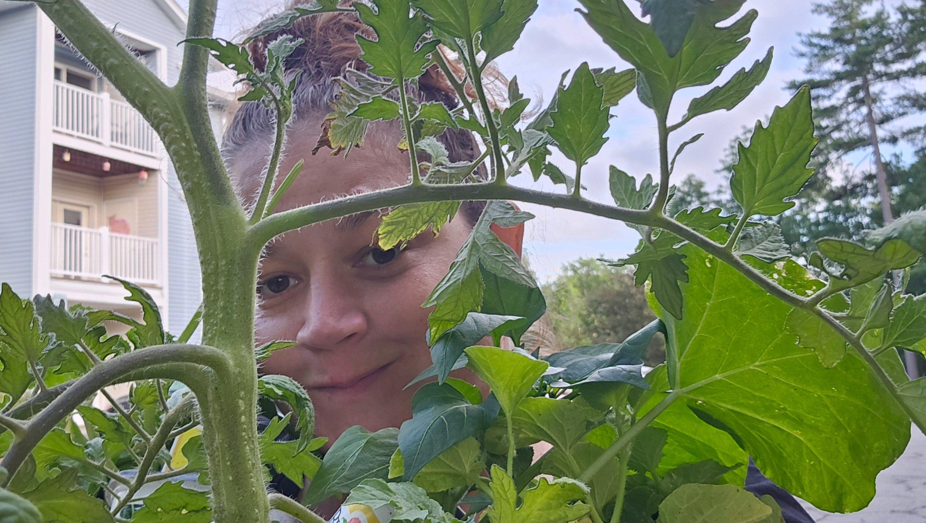 Free Gardens: Challenging Food Scarcity photo