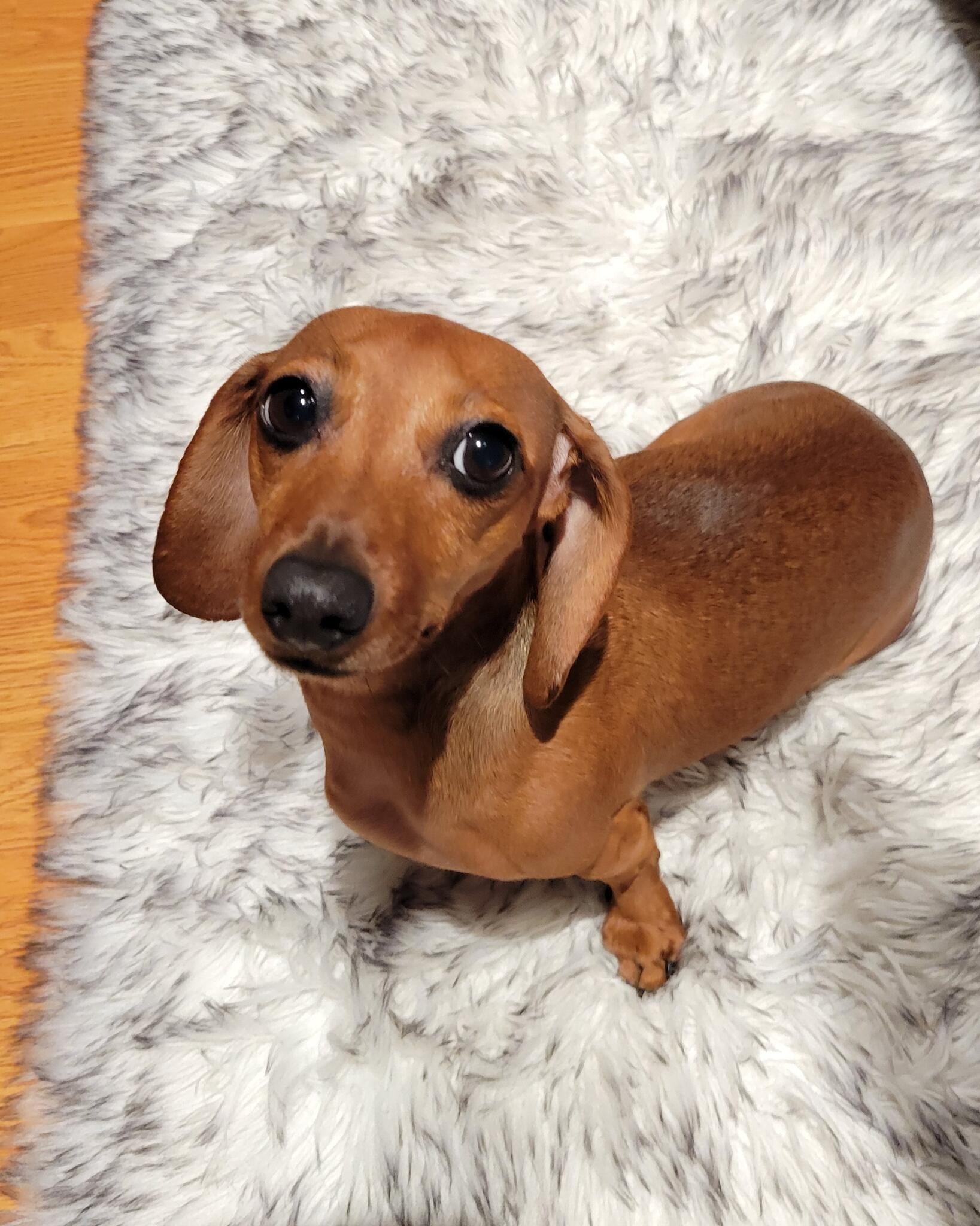 User-uploaded image 1