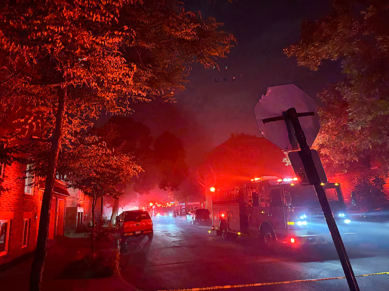 Tout perdu dans un incendie - Urgence pour Rai et ses chats campaign photo, 7 of 8