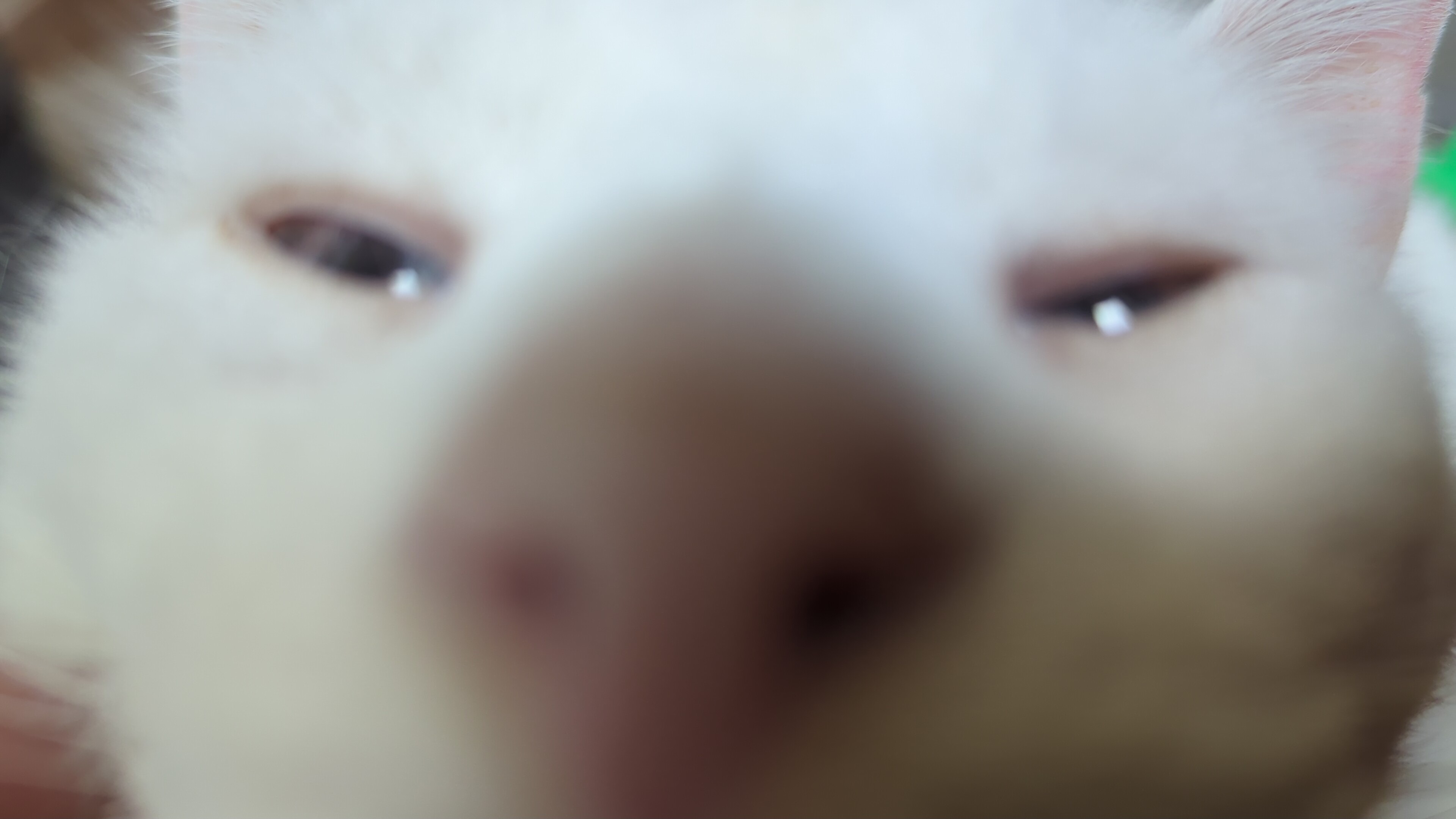 User-uploaded image 1