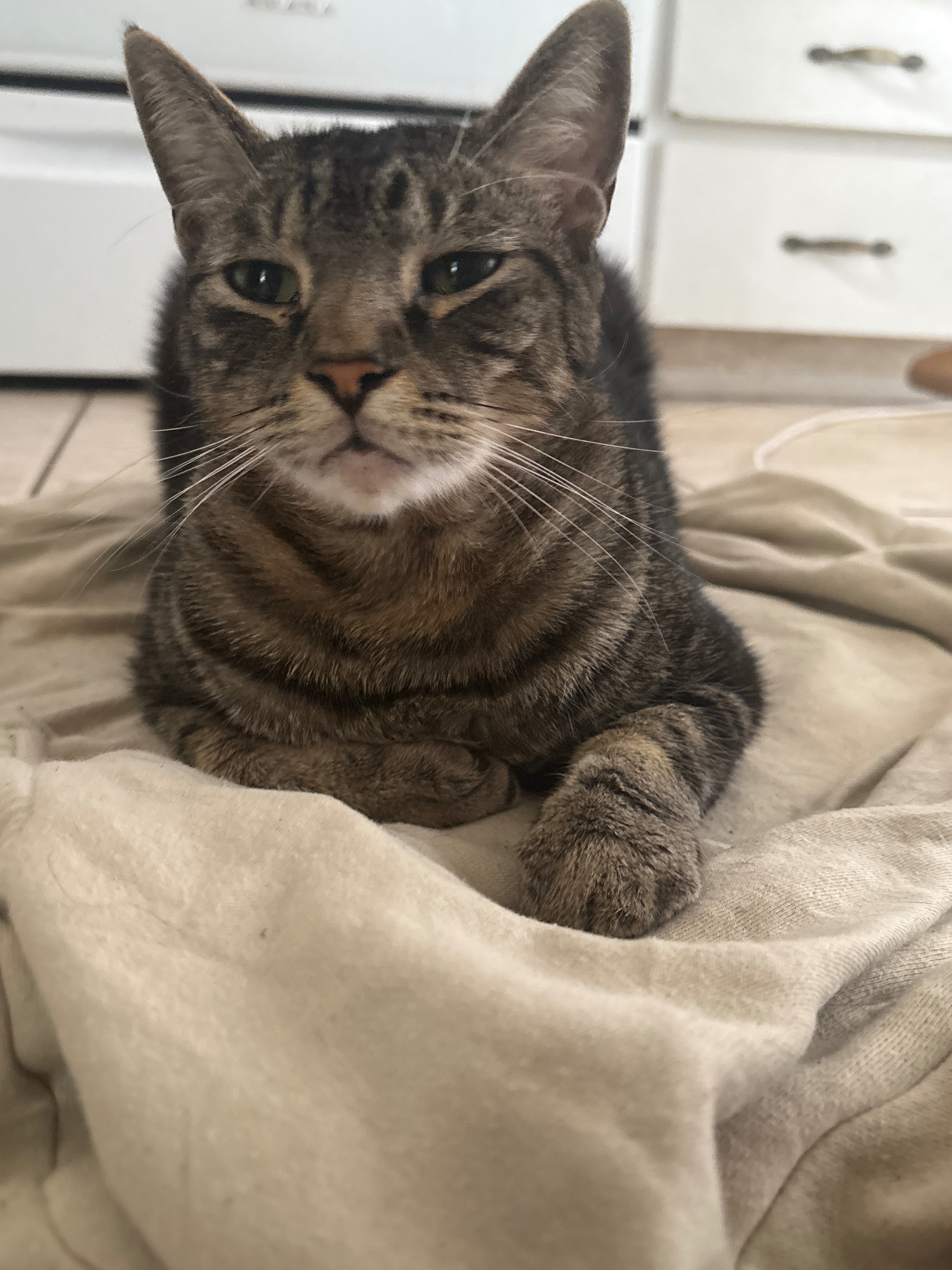 User-uploaded image 1