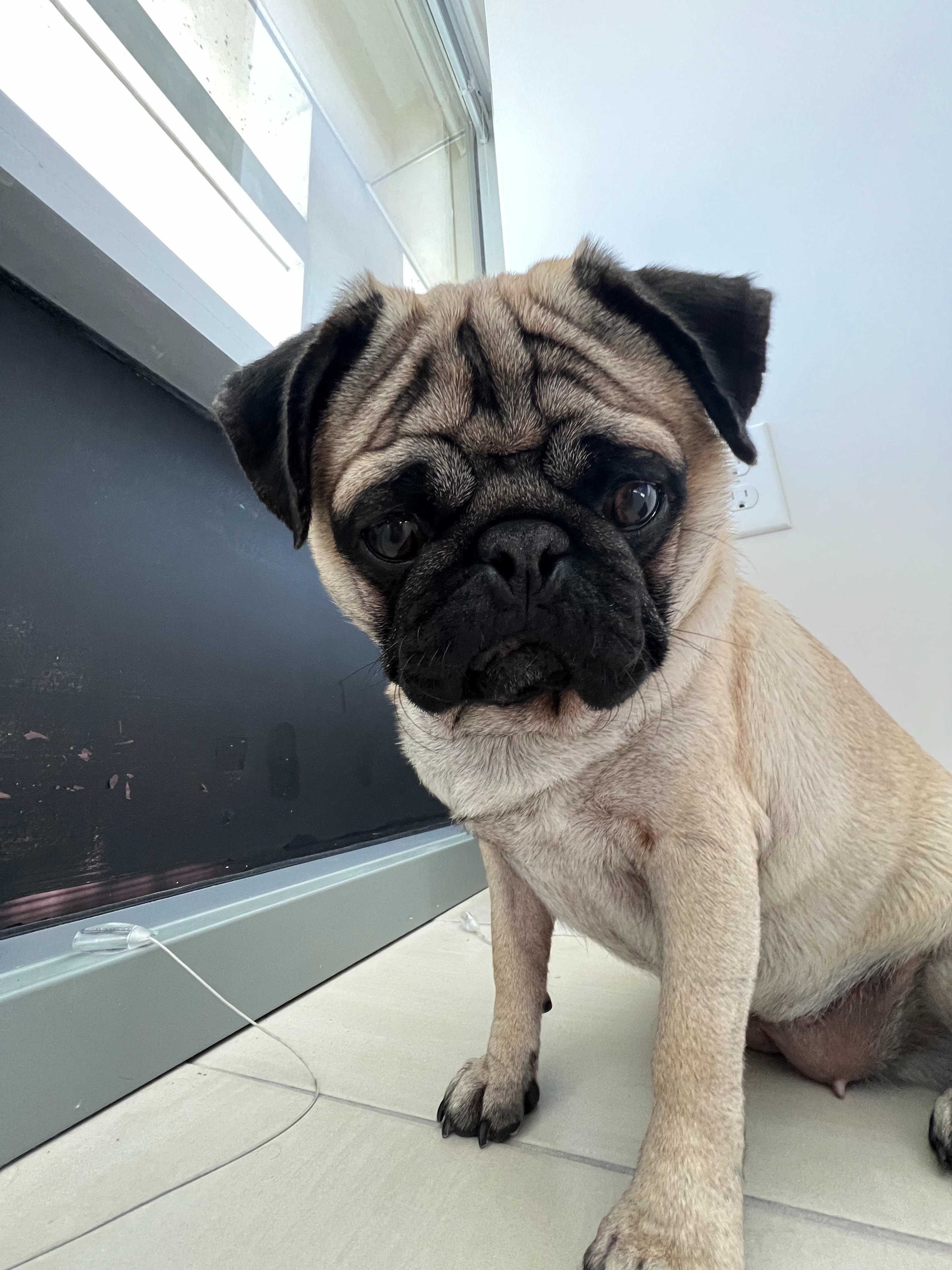 Leia's Knee Surgery campaign photo, 2 of 8