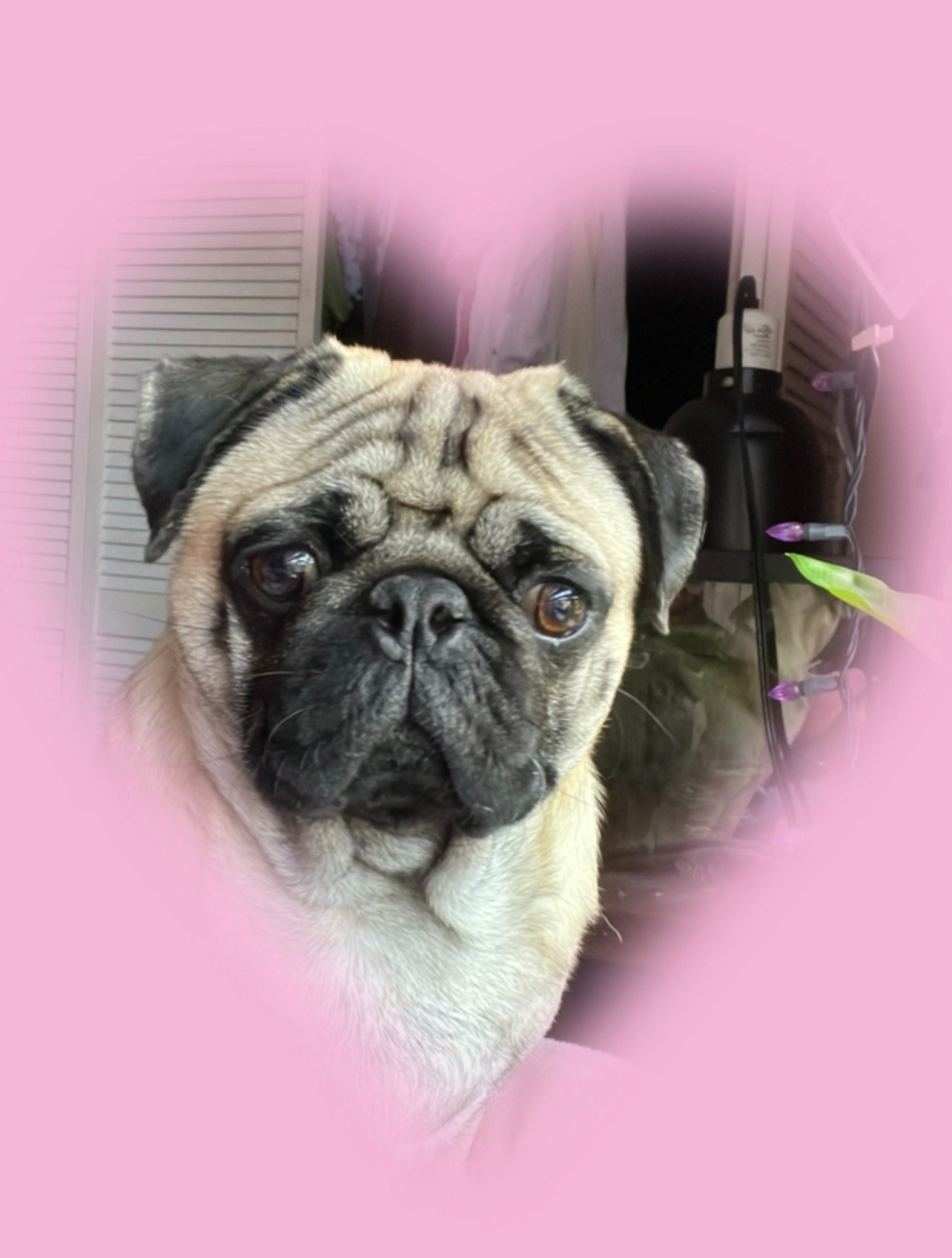 Leia's Knee Surgery campaign photo, 4 of 8
