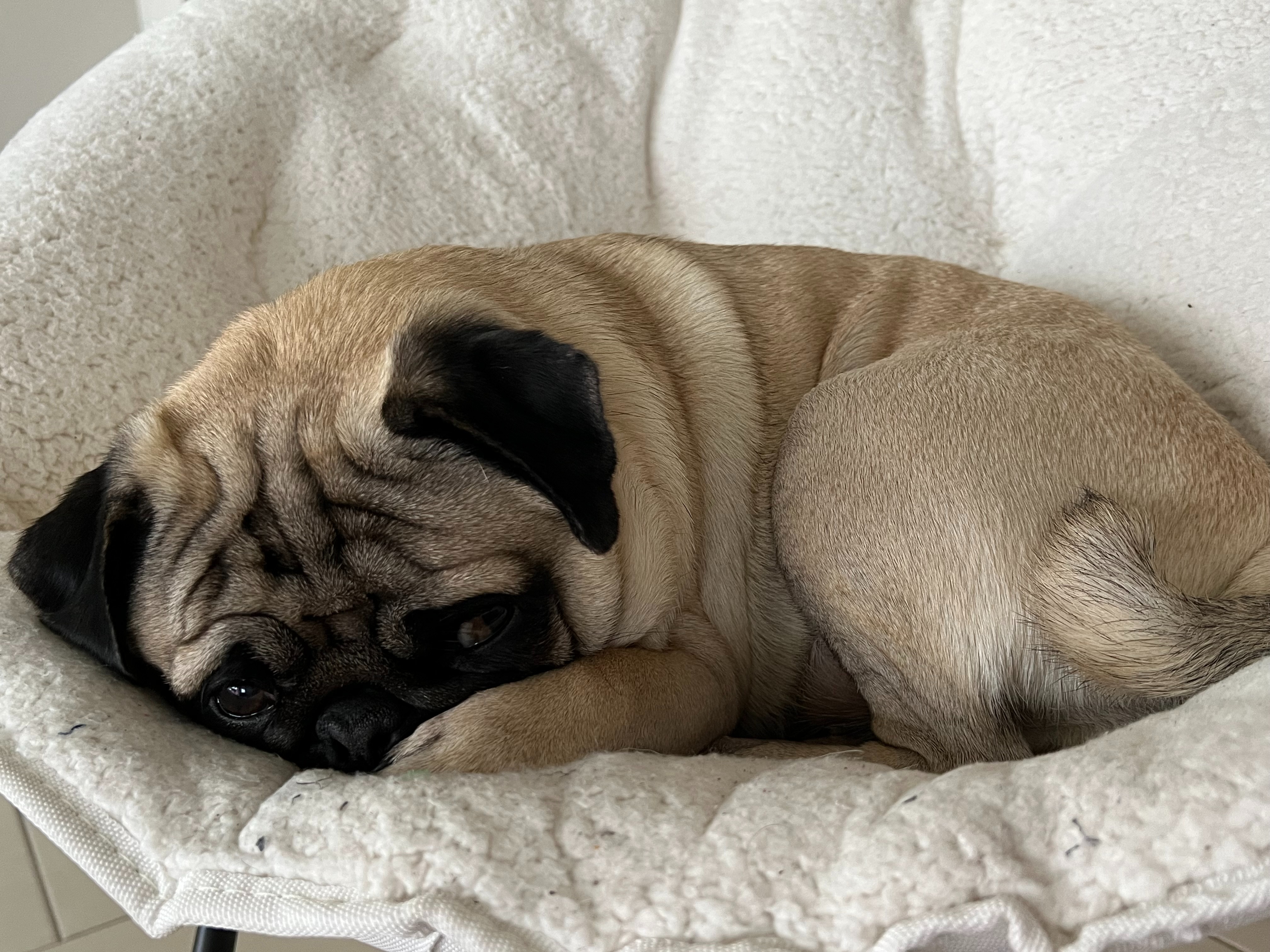 Leia's Knee Surgery campaign photo, 5 of 8