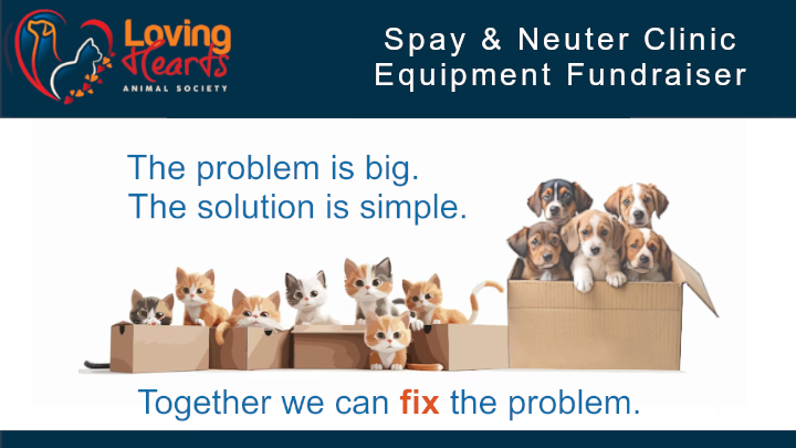 Together We Can FIX the Problem campaign photo, 2 of 4