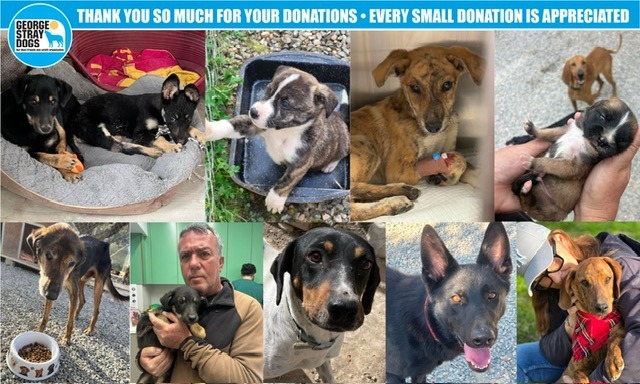 WATER BARRELS AND OUR VET BILL campaign photo, 2 of 5