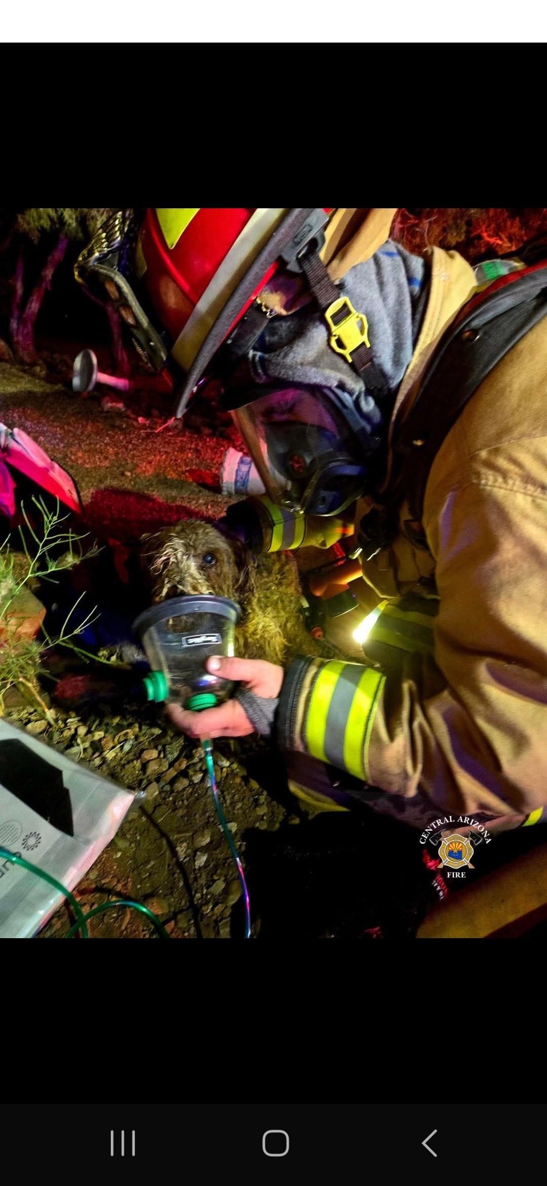 Support Mom's Recovery After Devastating Fire campaign photo, 2 of 8