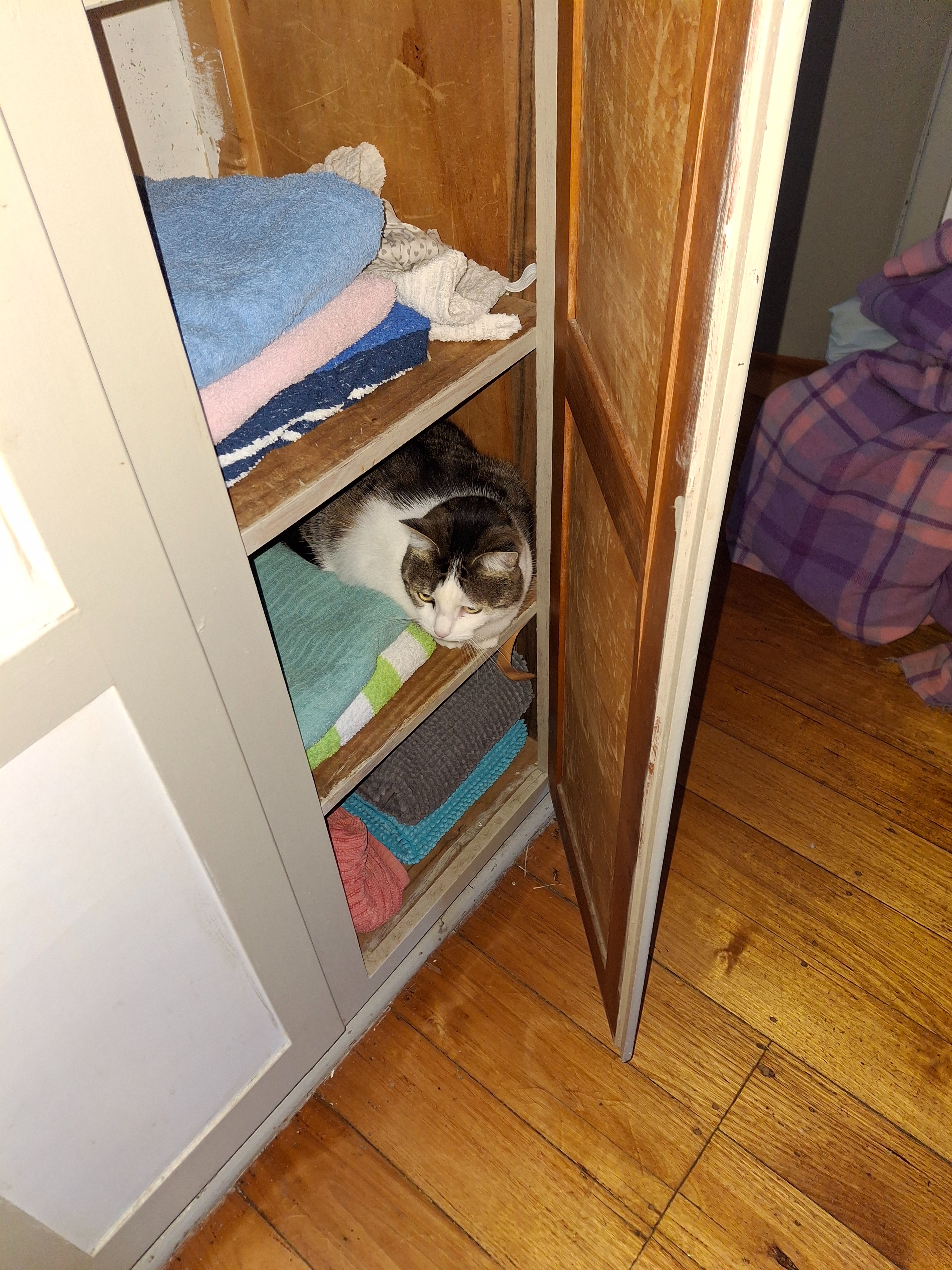 Help Chloe Rebuild After Escaping Toxic Housing Situation campaign photo, 4 of 6