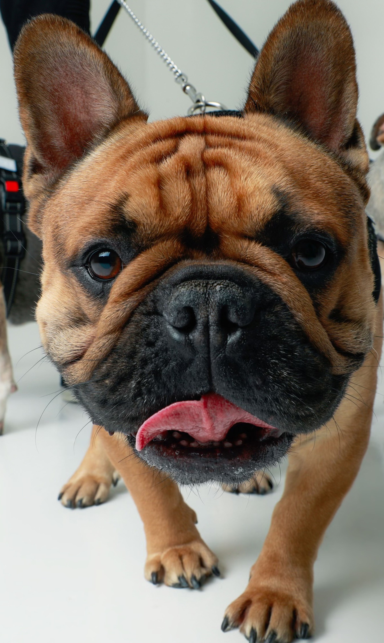 User-uploaded image 1