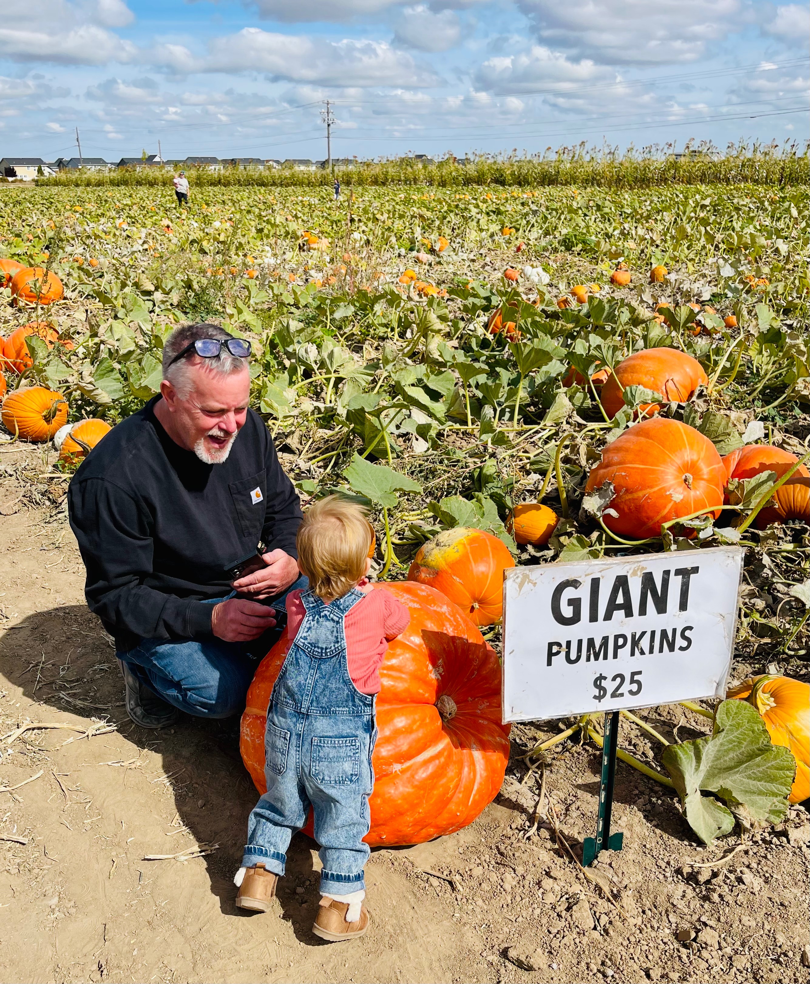 Support Jeff's Bone Marrow Transplant Journey campaign photo, 6 of 7