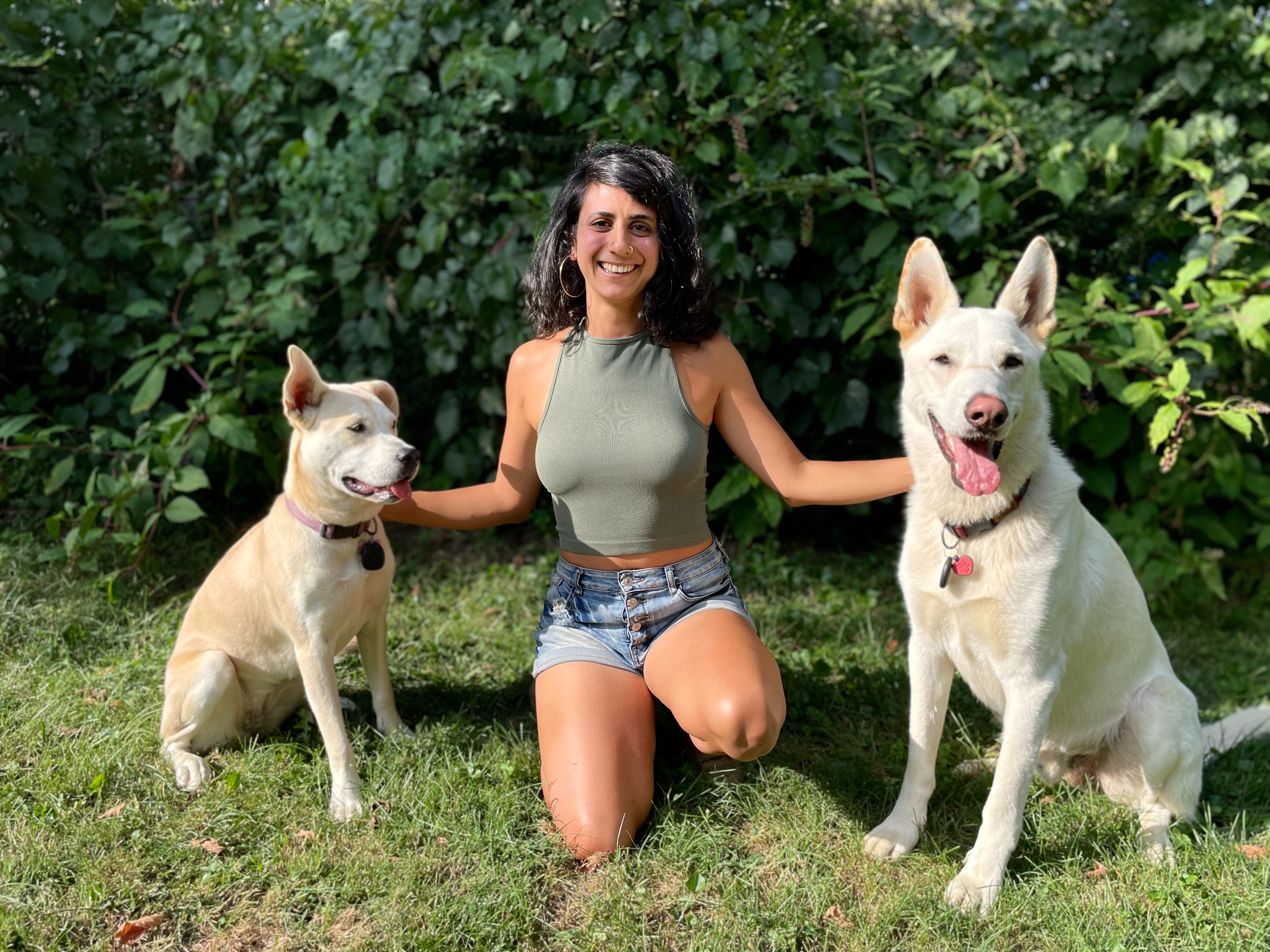 Help Build Attuned K9 Sanctuary: A Healing Home for All Dogs campaign photo, 2 of 4