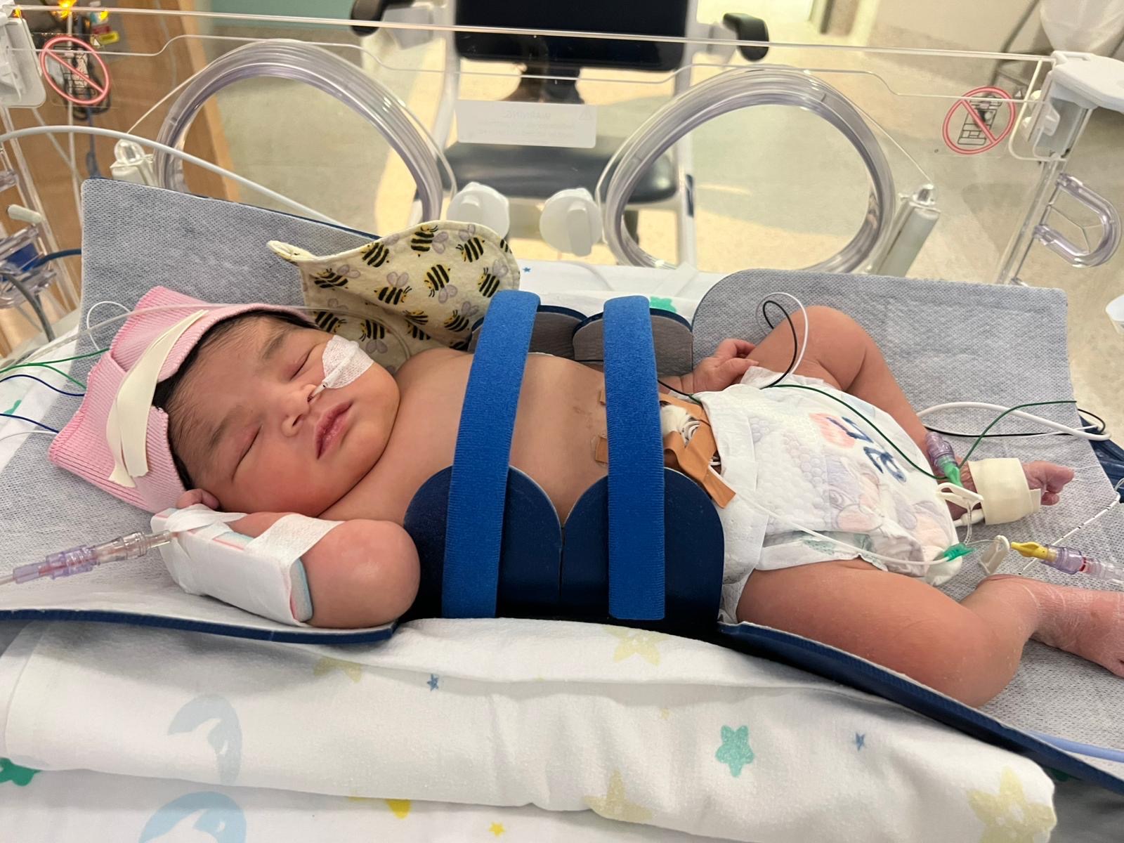 User-uploaded image 1