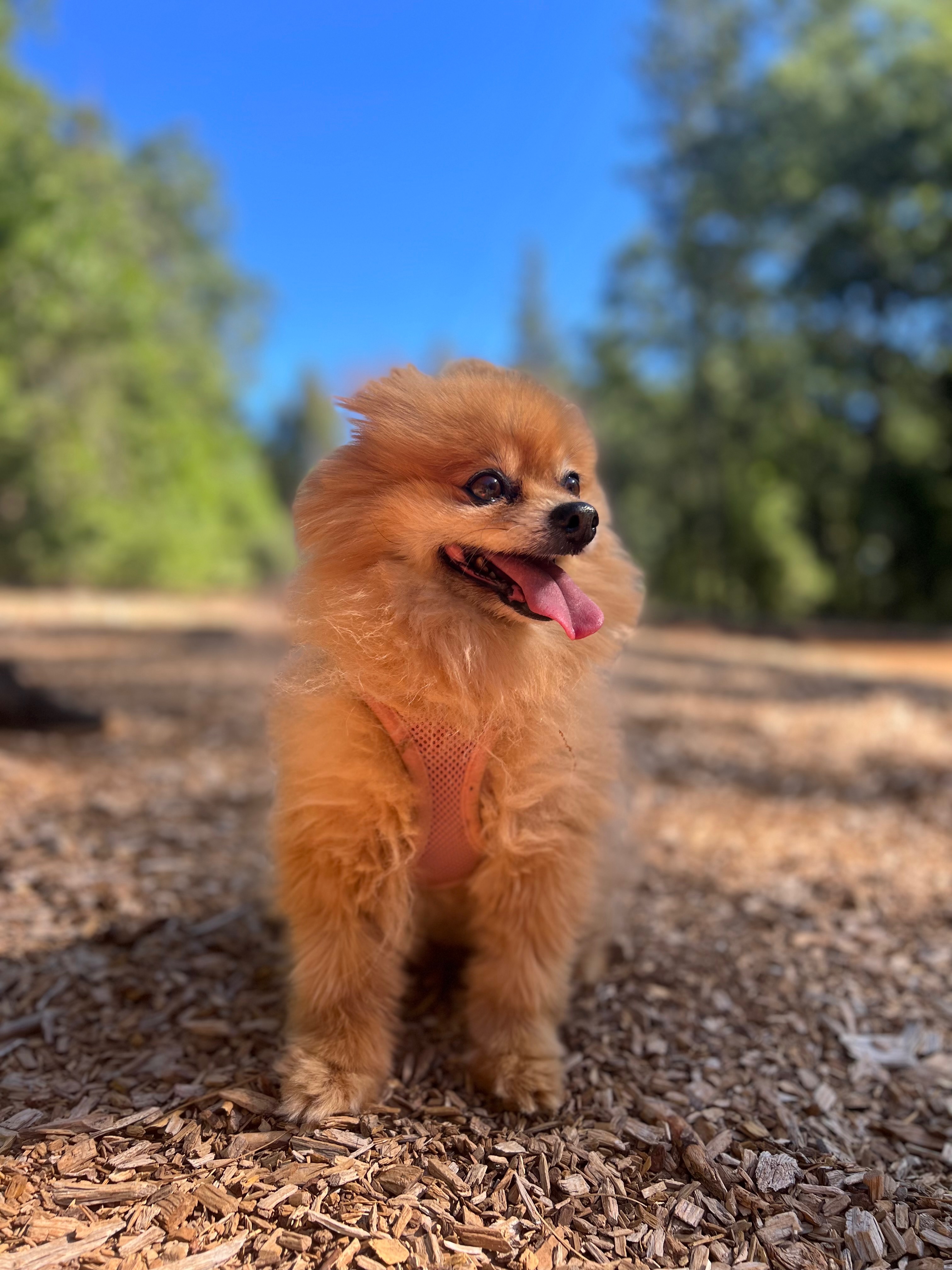 Bailey’s brave fight: Healing after a traumatic injury campaign photo, 7 of 8