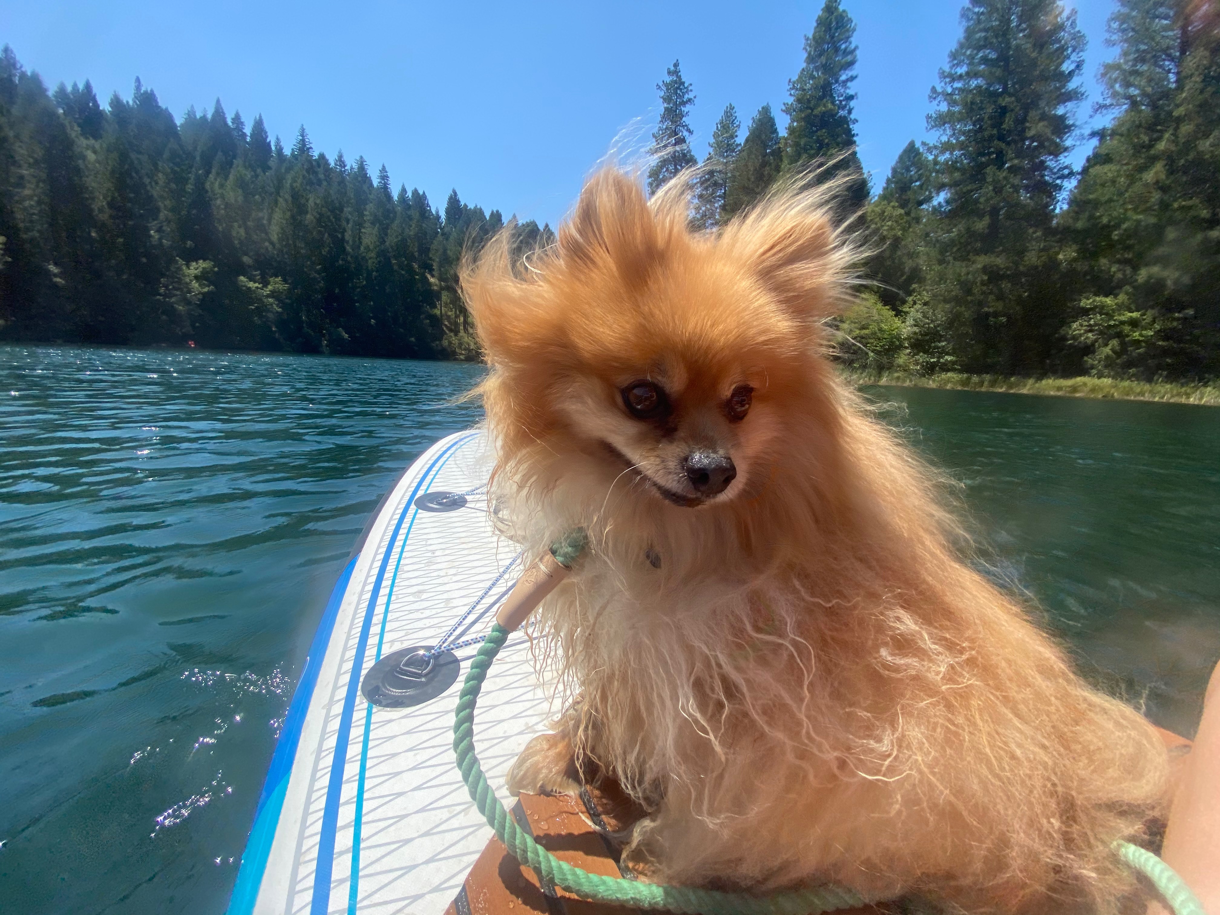Bailey’s brave fight: Healing after a traumatic injury campaign photo, 4 of 8