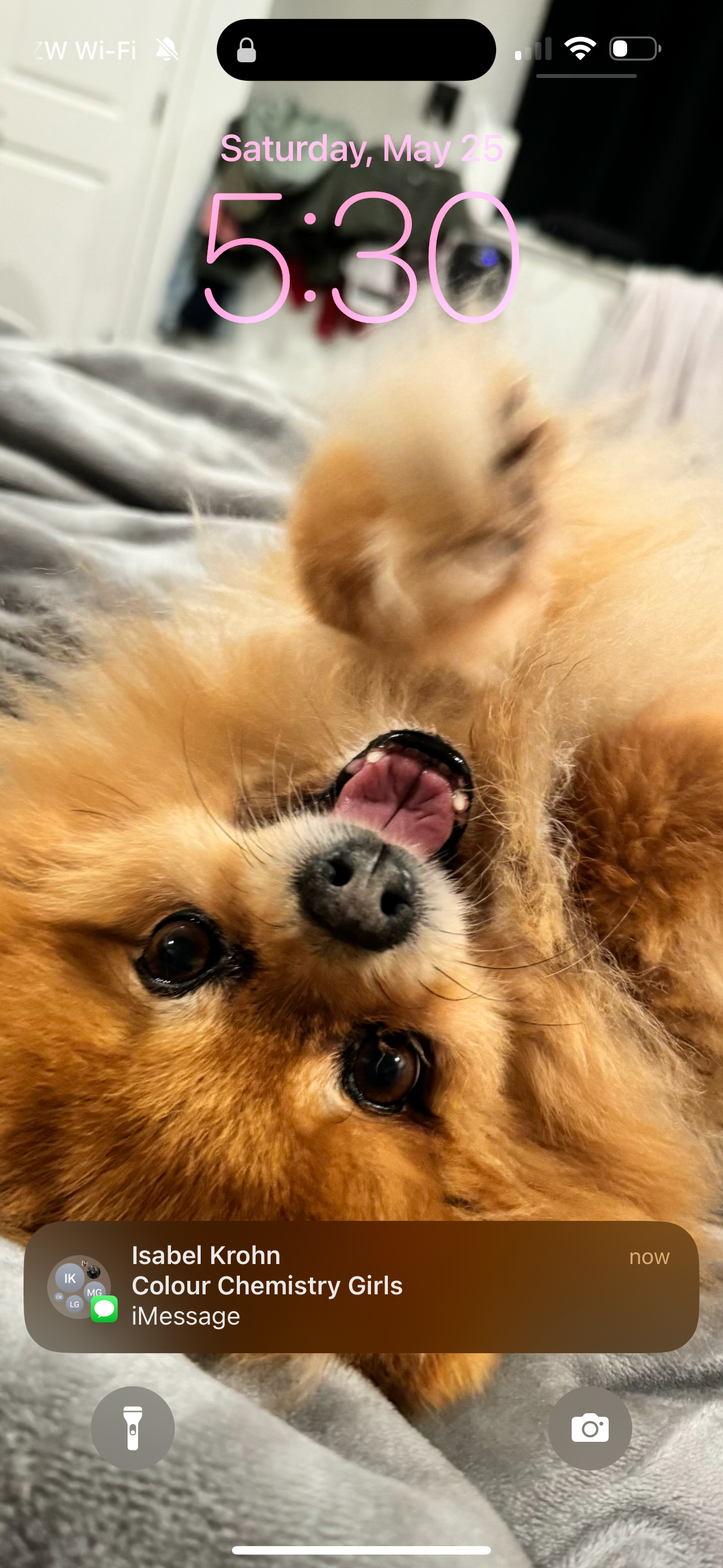 Bailey’s brave fight: Healing after a traumatic injury campaign photo, 5 of 8
