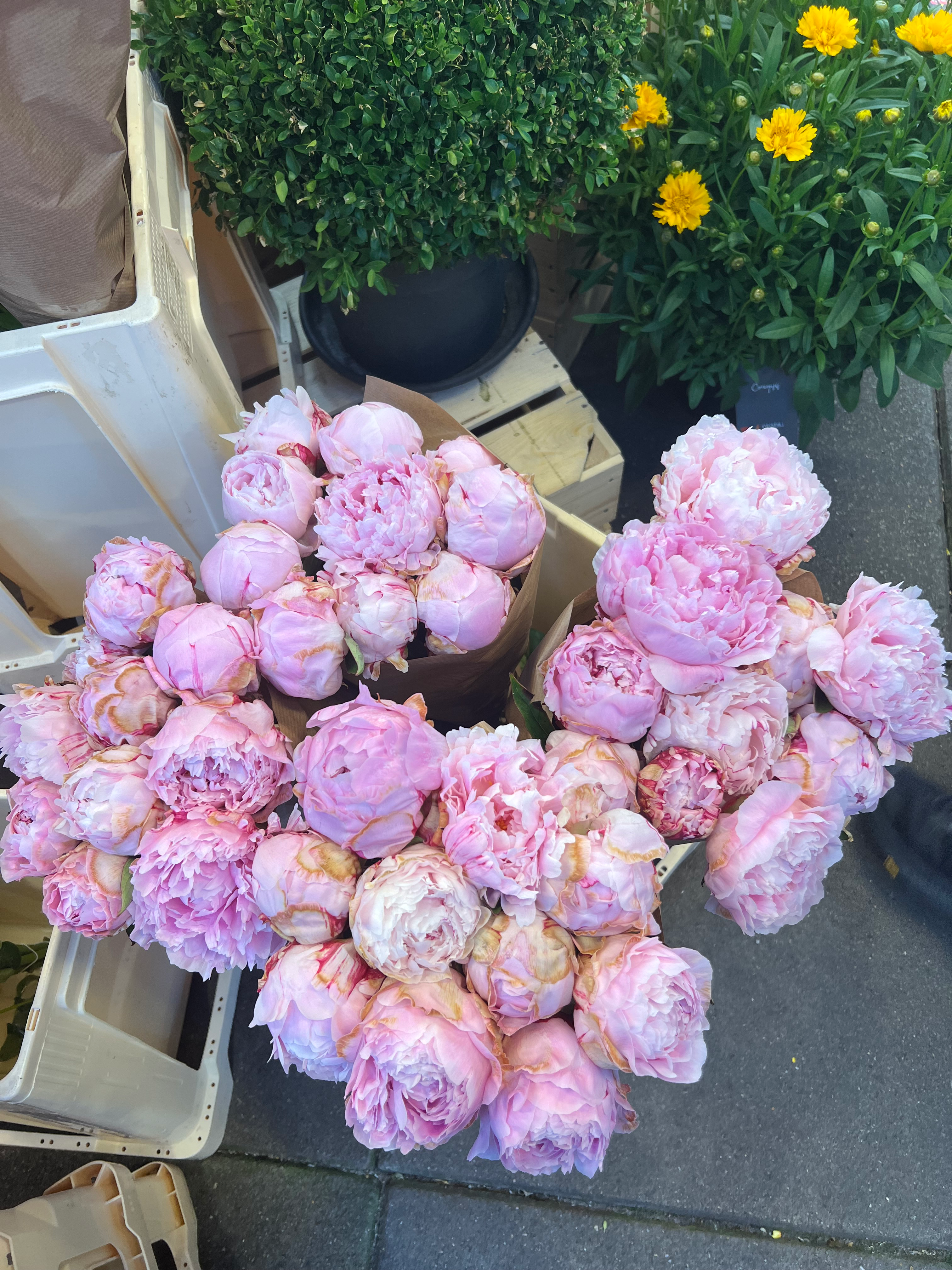 User-uploaded image 1