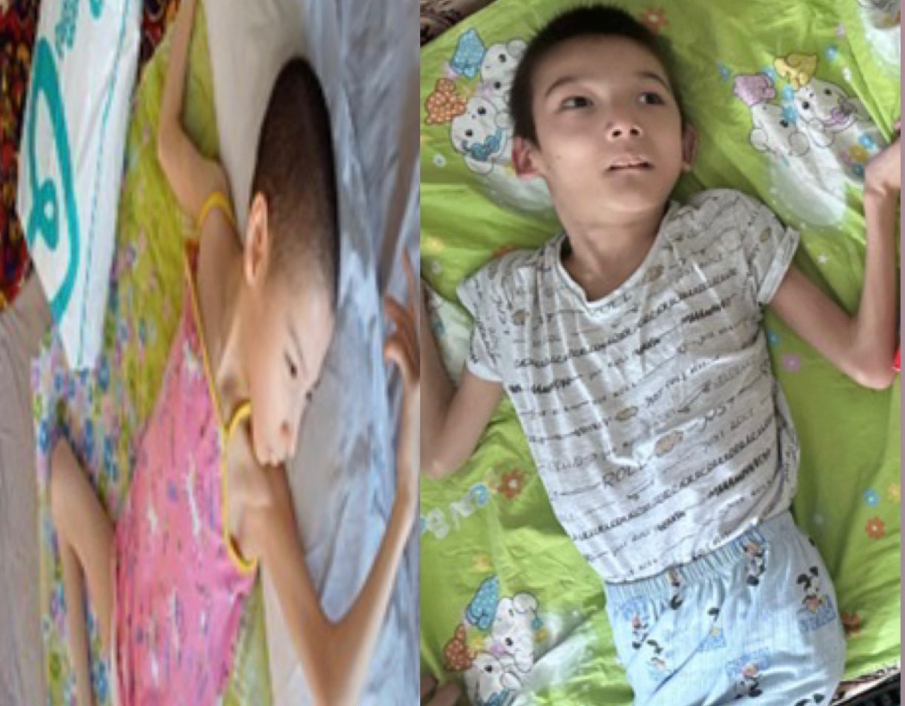 User-uploaded image 1