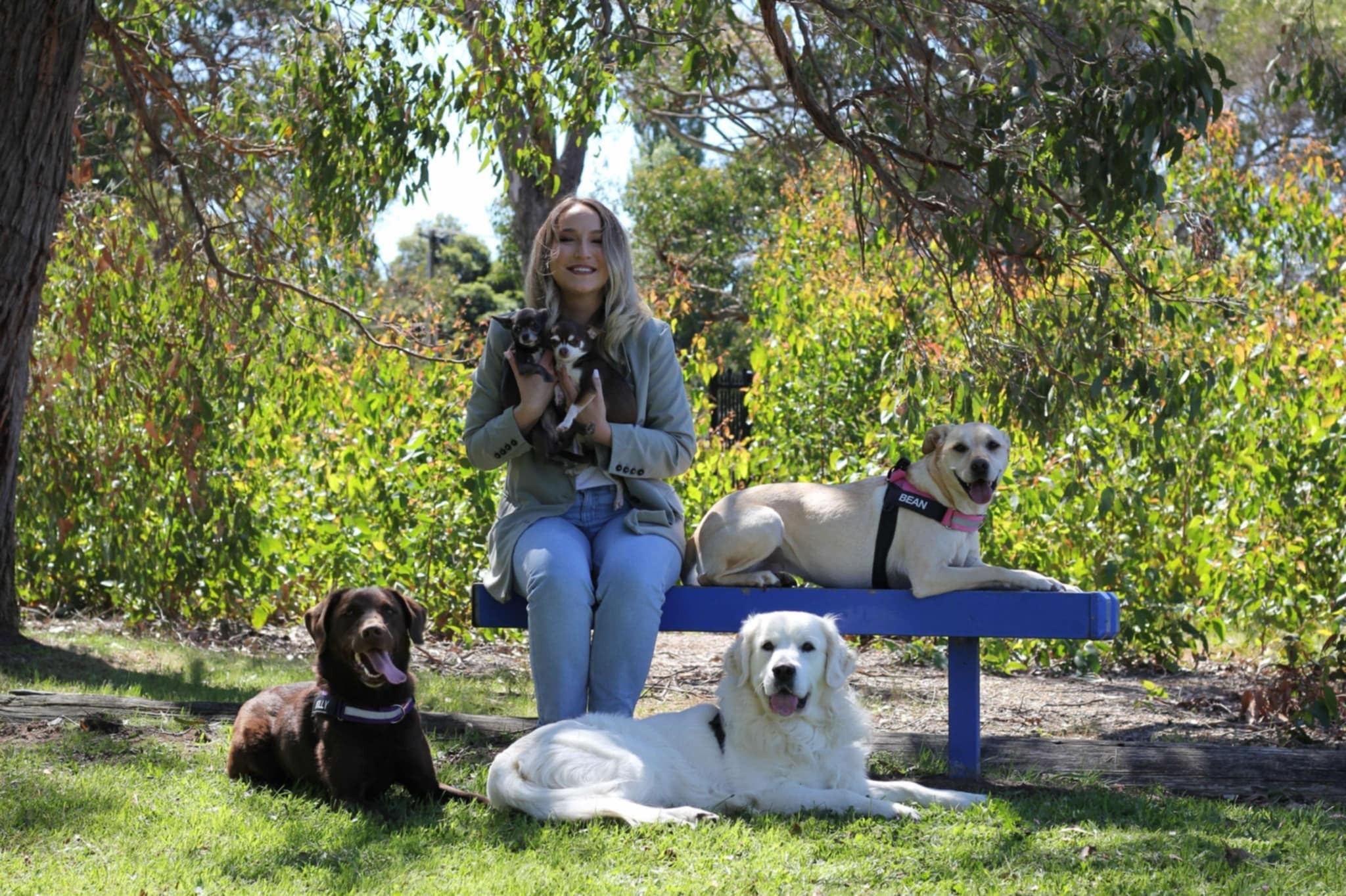 User-uploaded image 1