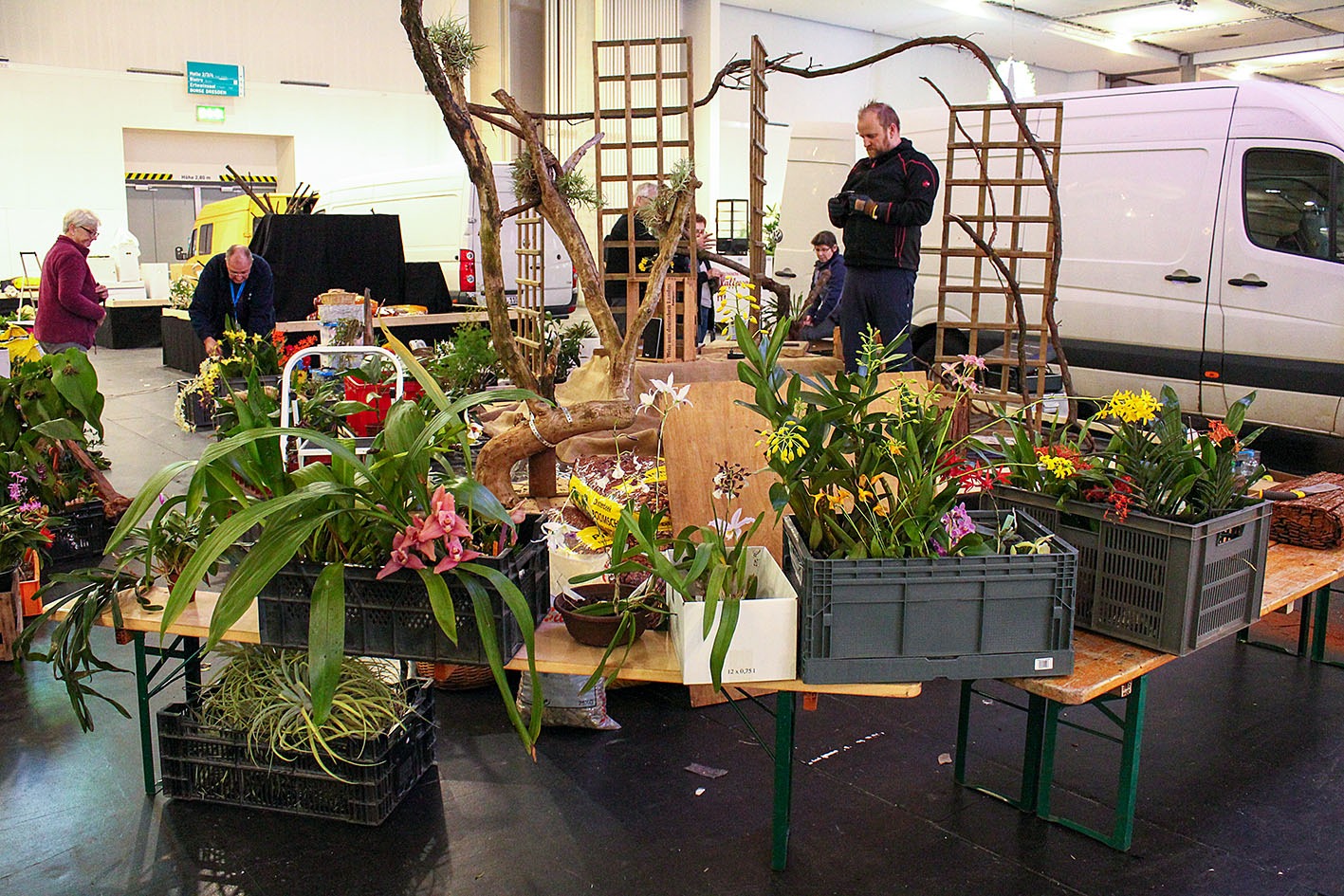 Orchideenwelt in Dresden 2026 – wir brauchen Deine Hilfe! campaign photo, 4 of 8