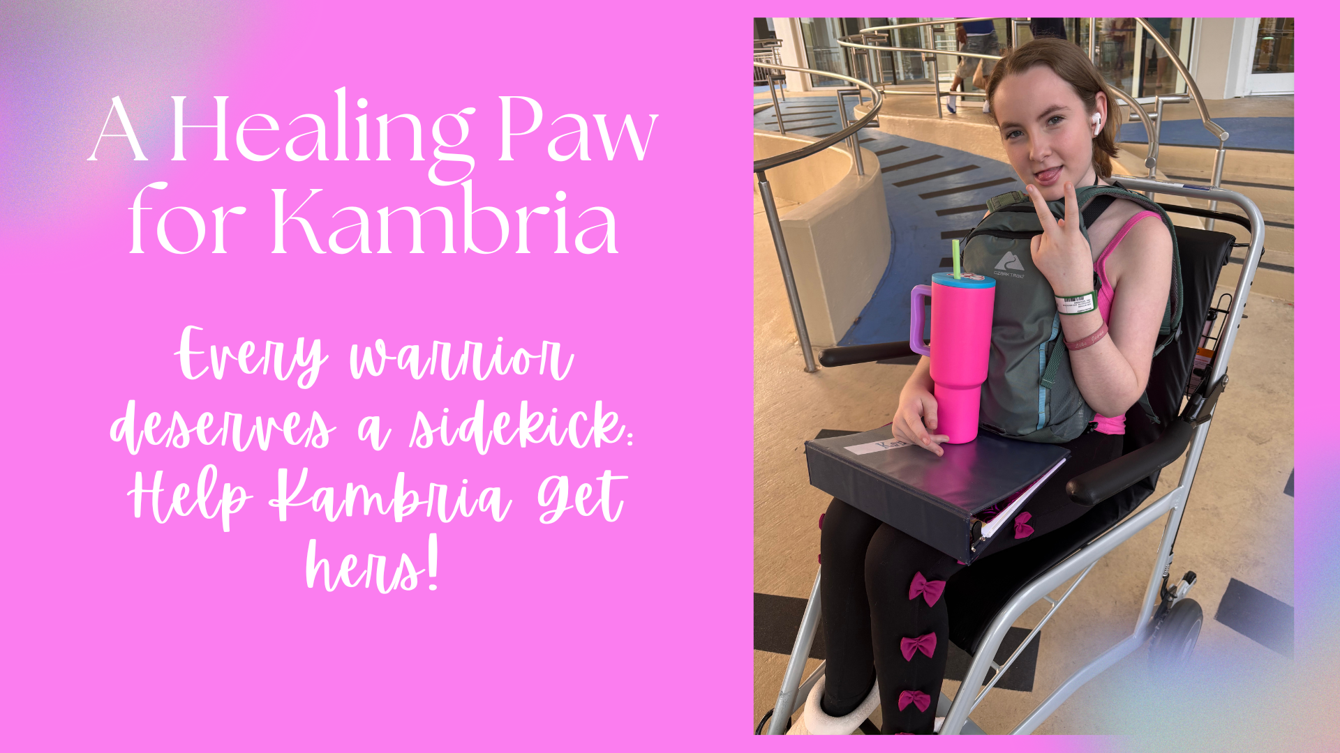 Every Warrior Deserves a Sidekick: Help Kambria Get Hers campaign photo, 2 of 6