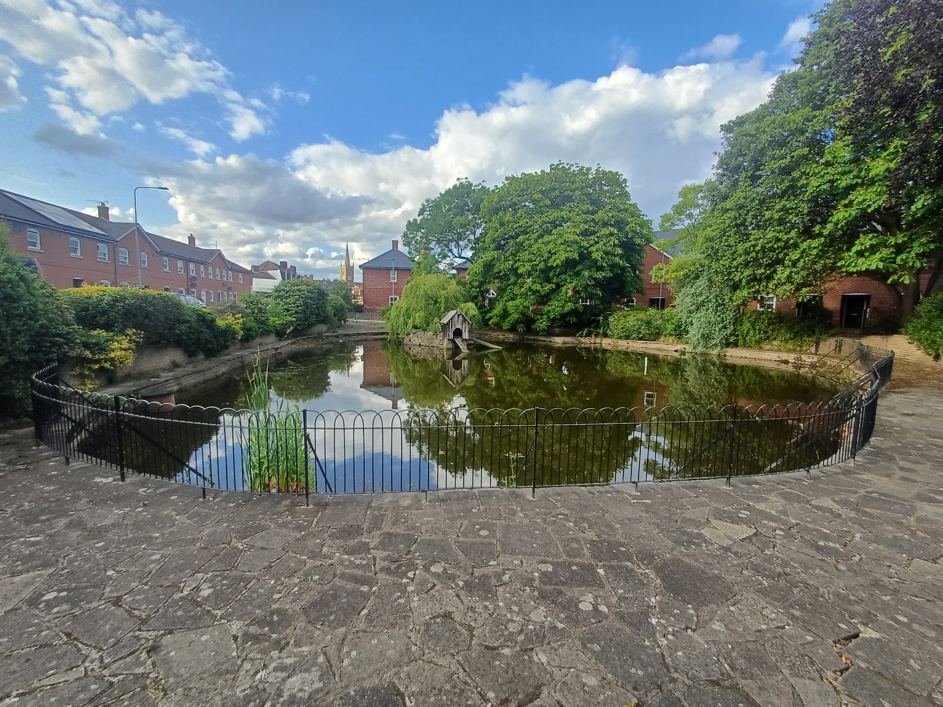Save cox's pond Harwich campaign photo, 7 of 8