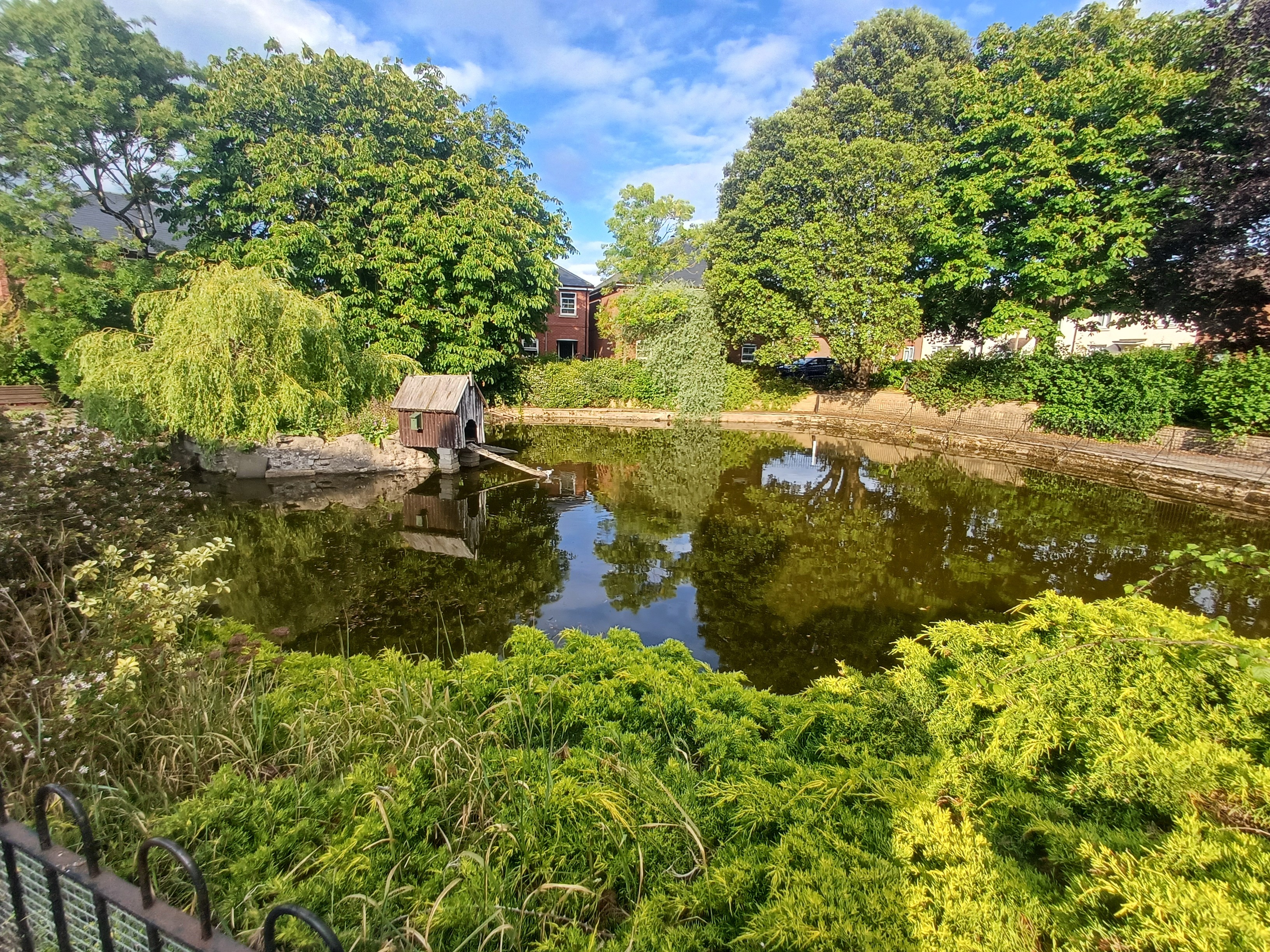 Save cox's pond Harwich campaign photo, 2 of 8