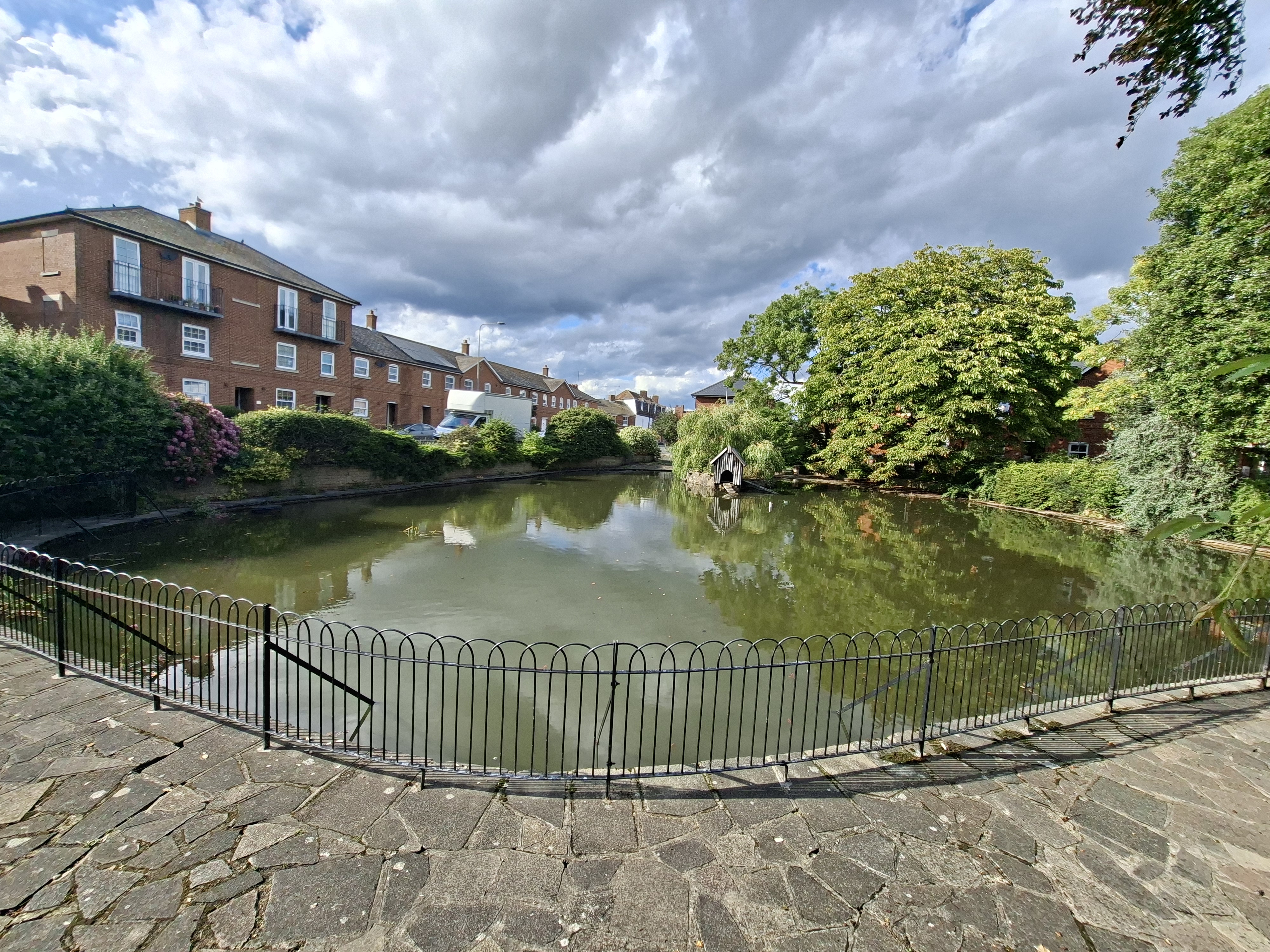 Save cox's pond Harwich campaign photo, 5 of 8