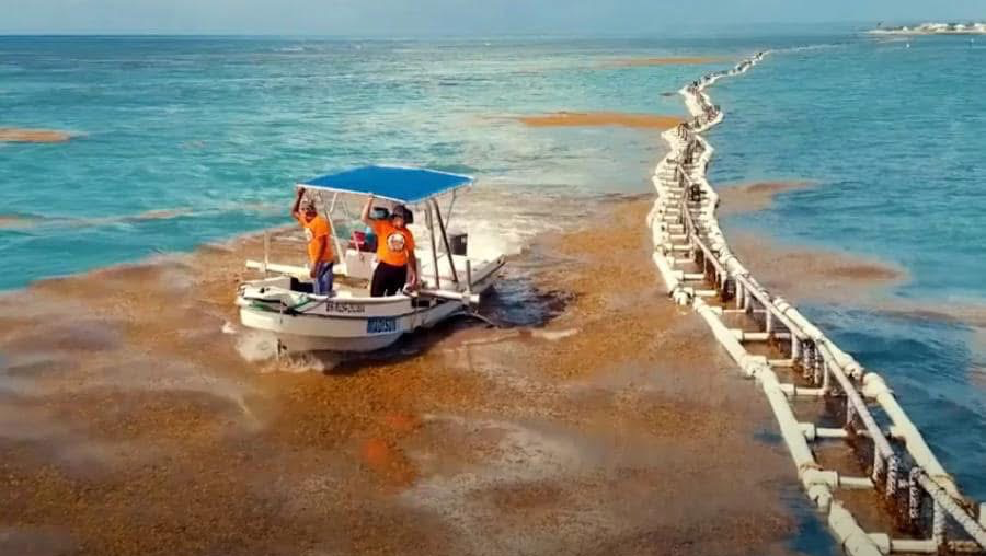 “Salvemos juntos el medio ambiente en República Dominicana” pinned link photo