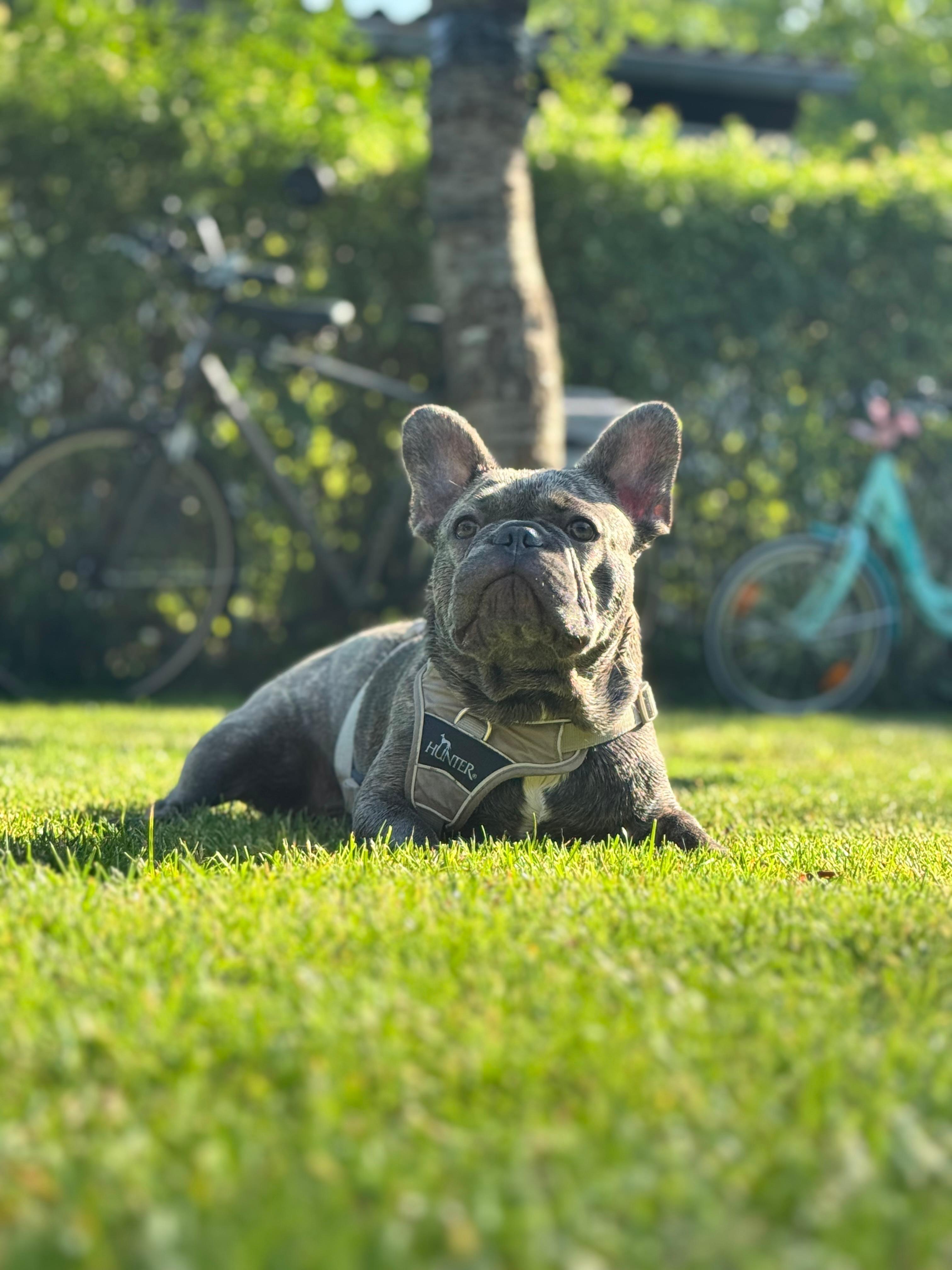 User-uploaded image 1