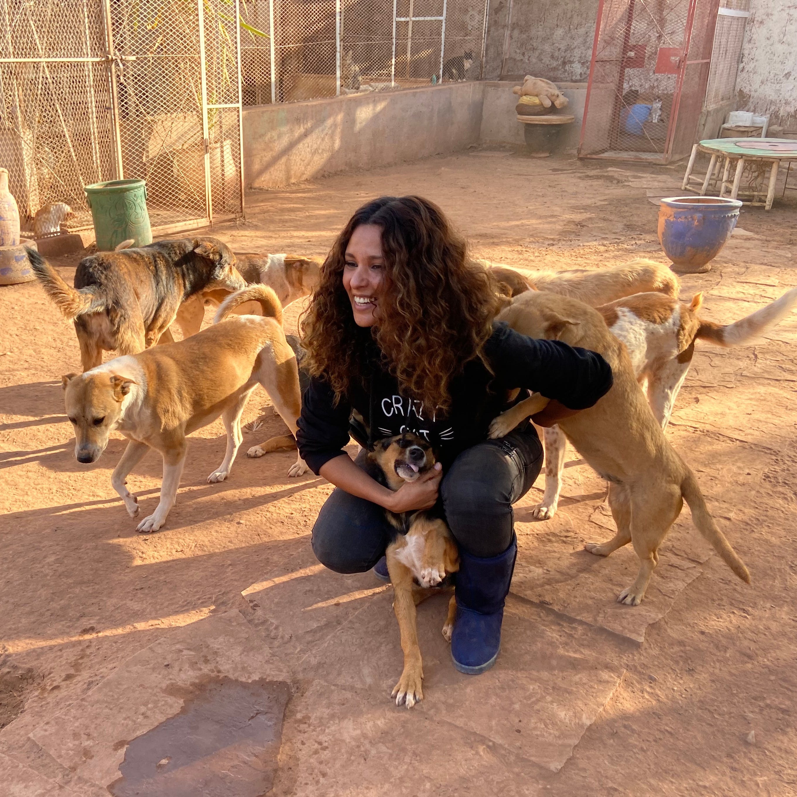 Save Rescued Animals in Morocco – Before It's Too Late campaign photo, 6 of 8
