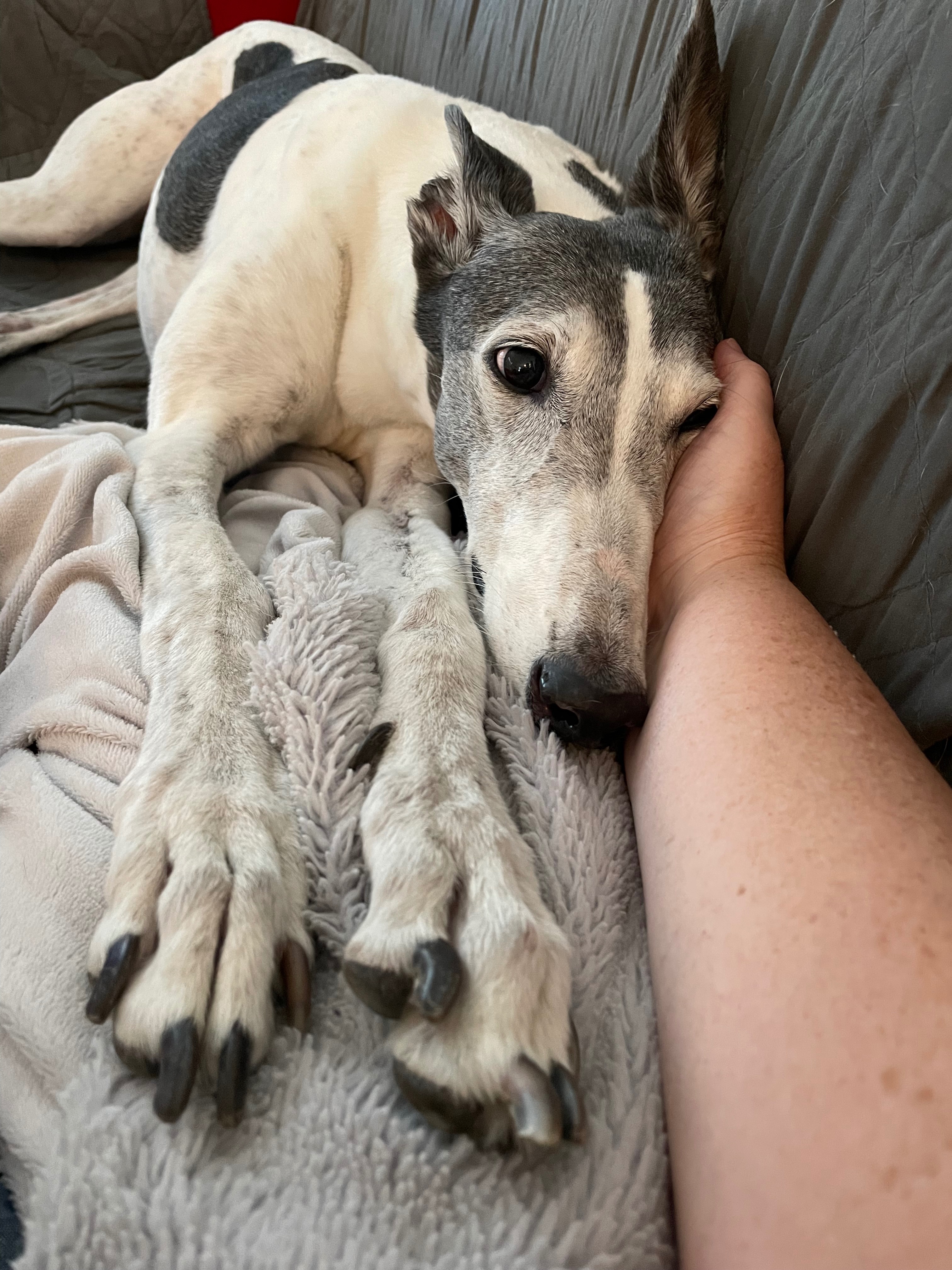 User-uploaded image 1