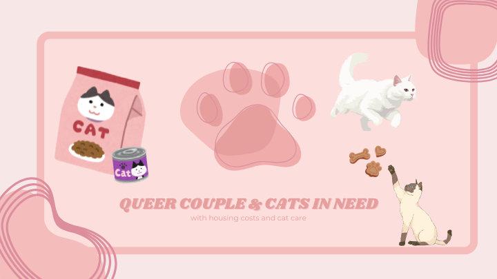 User-uploaded image 1