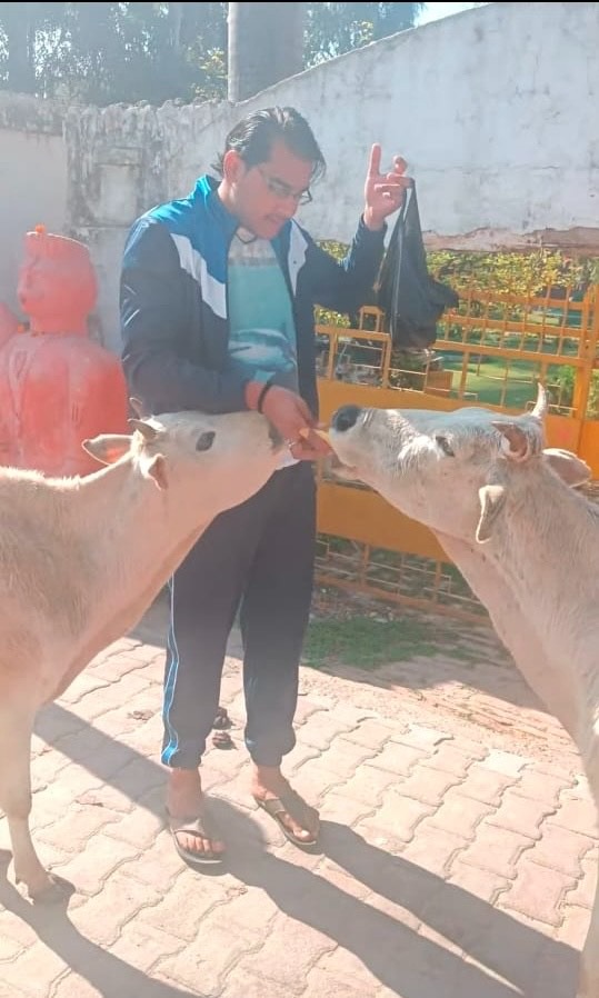 Help Dadhichi Goushala rescue cows in India campaign photo, 2 of 5