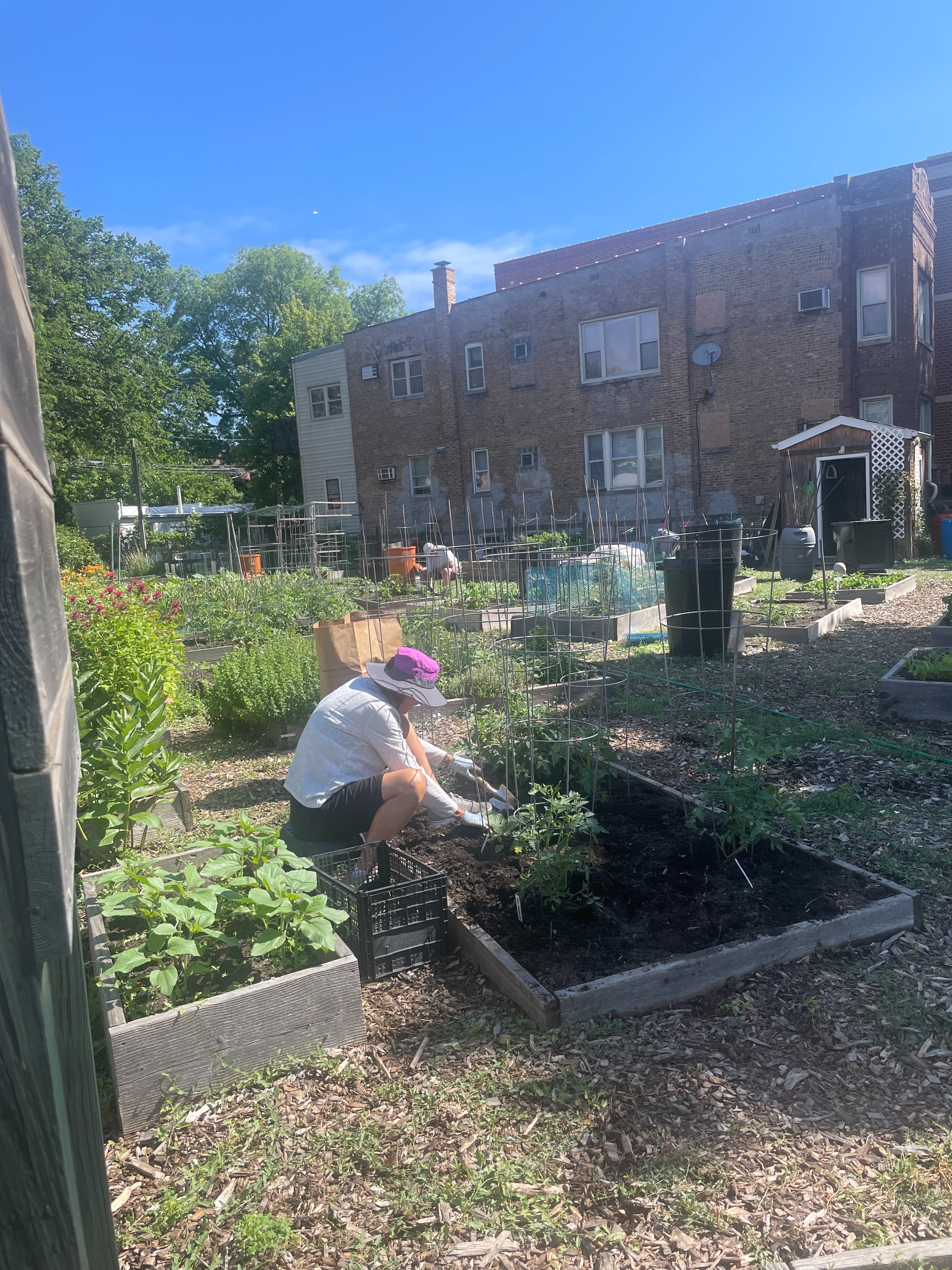 Support SRB Community Garden's Fight Against Hunger campaign photo, 2 of 5