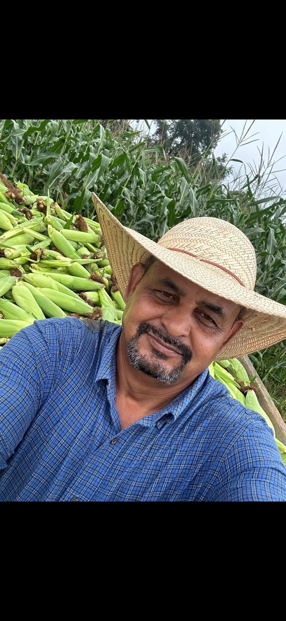 User-uploaded image 1