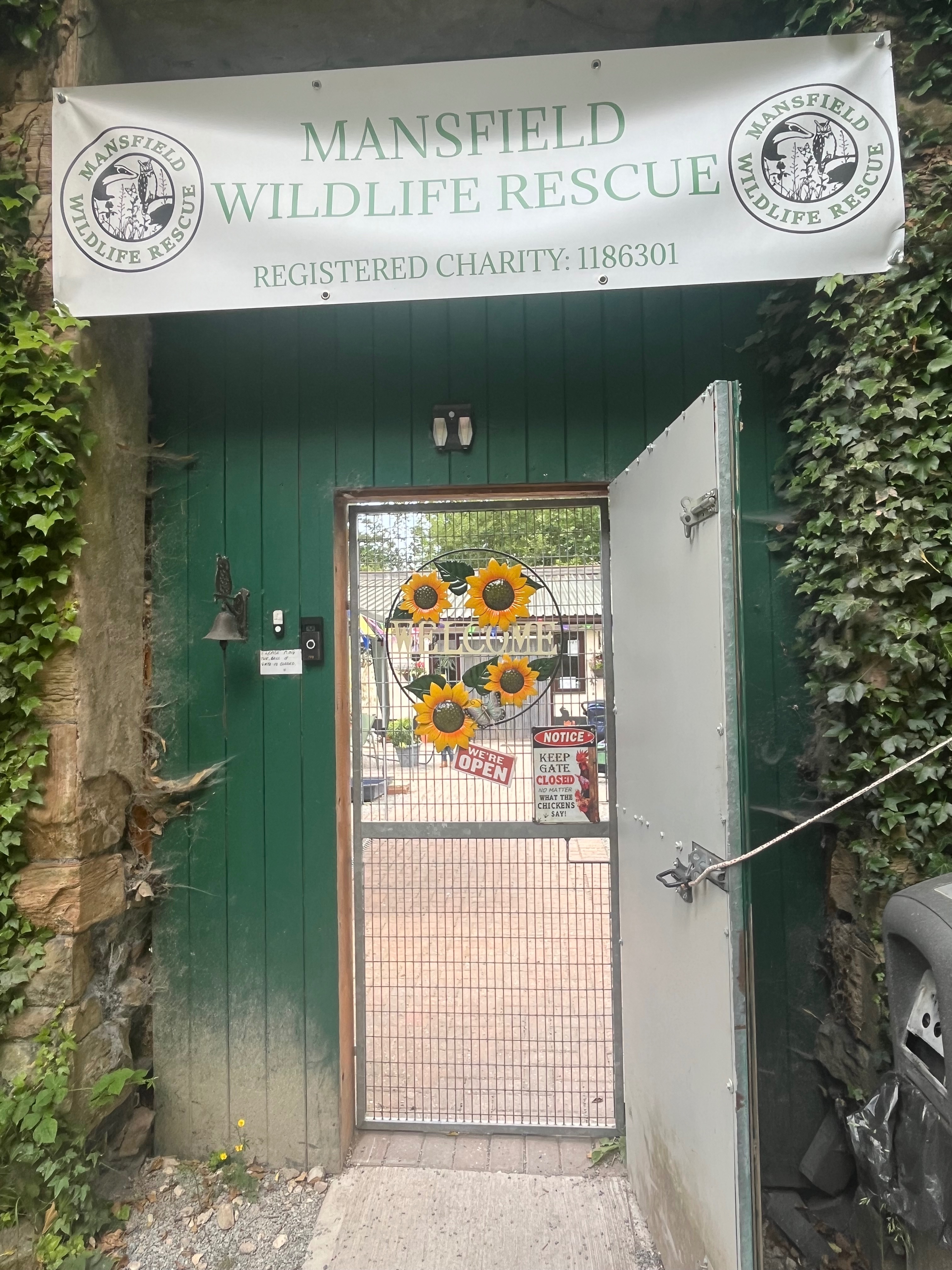 Help raise funds for Mansfield wildlife rescue uk campaign photo, 4 of 8