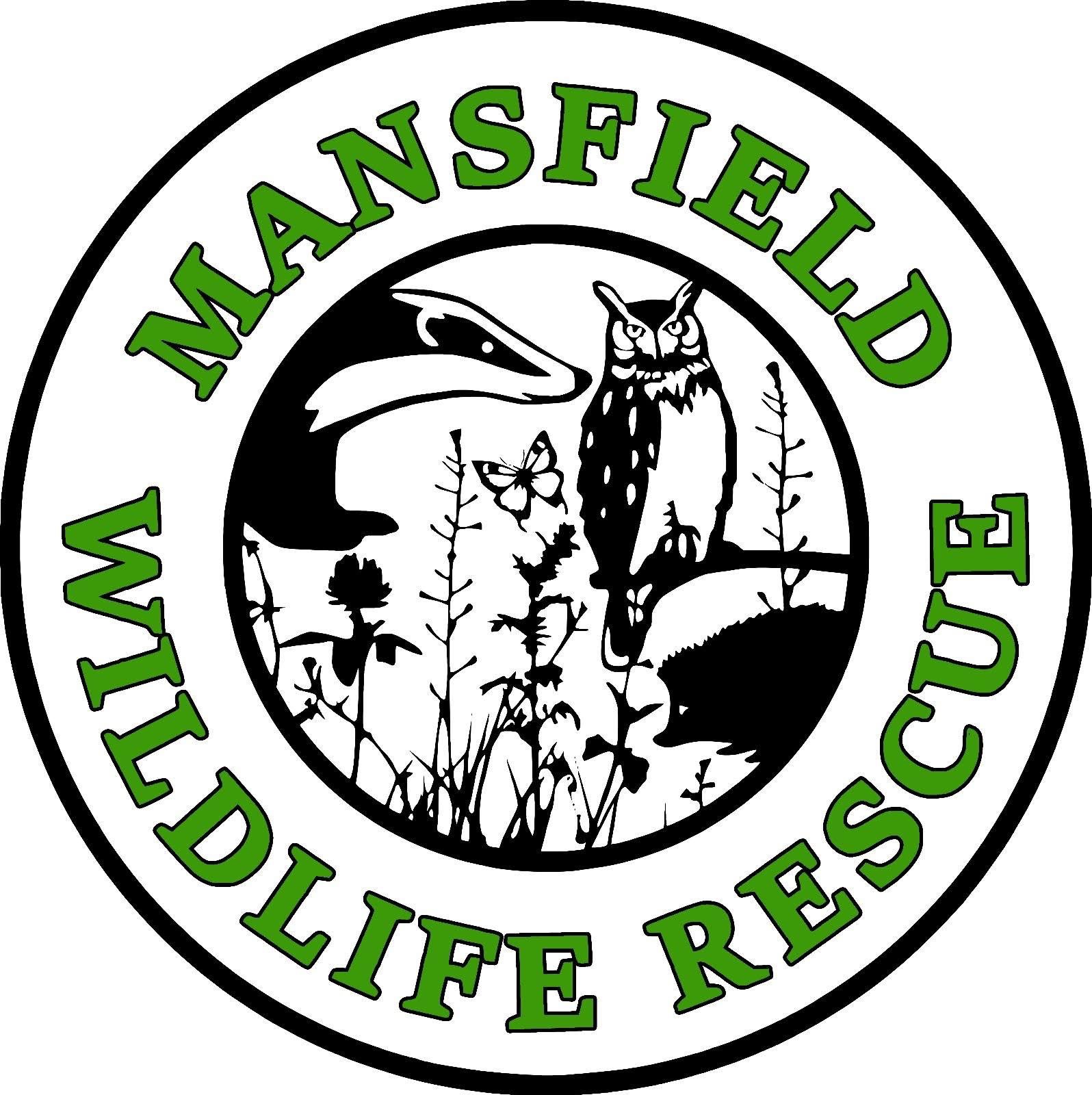 Help raise funds for Mansfield wildlife rescue uk campaign photo, 5 of 8