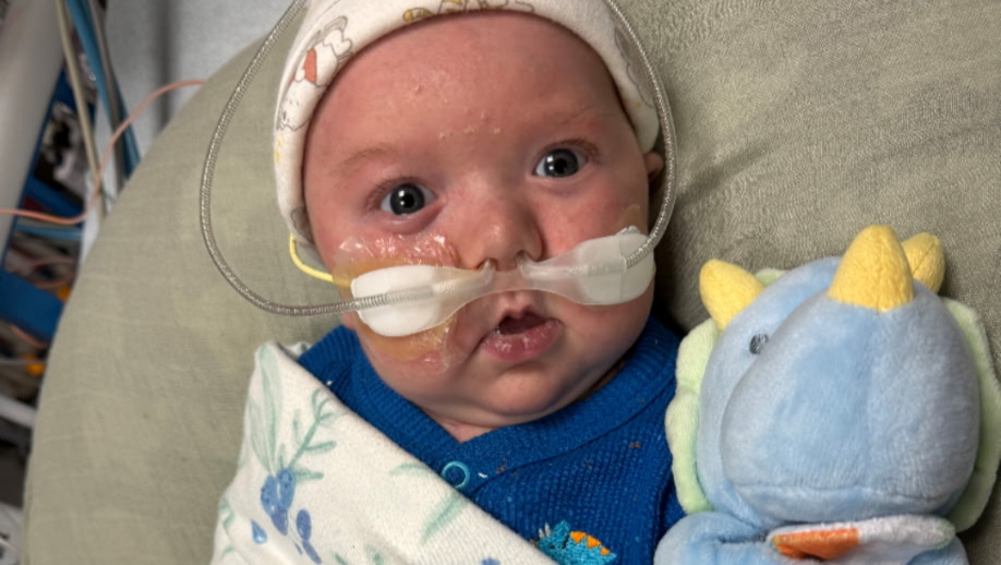 Support Baby Noah’s Brave Heart Journey photo