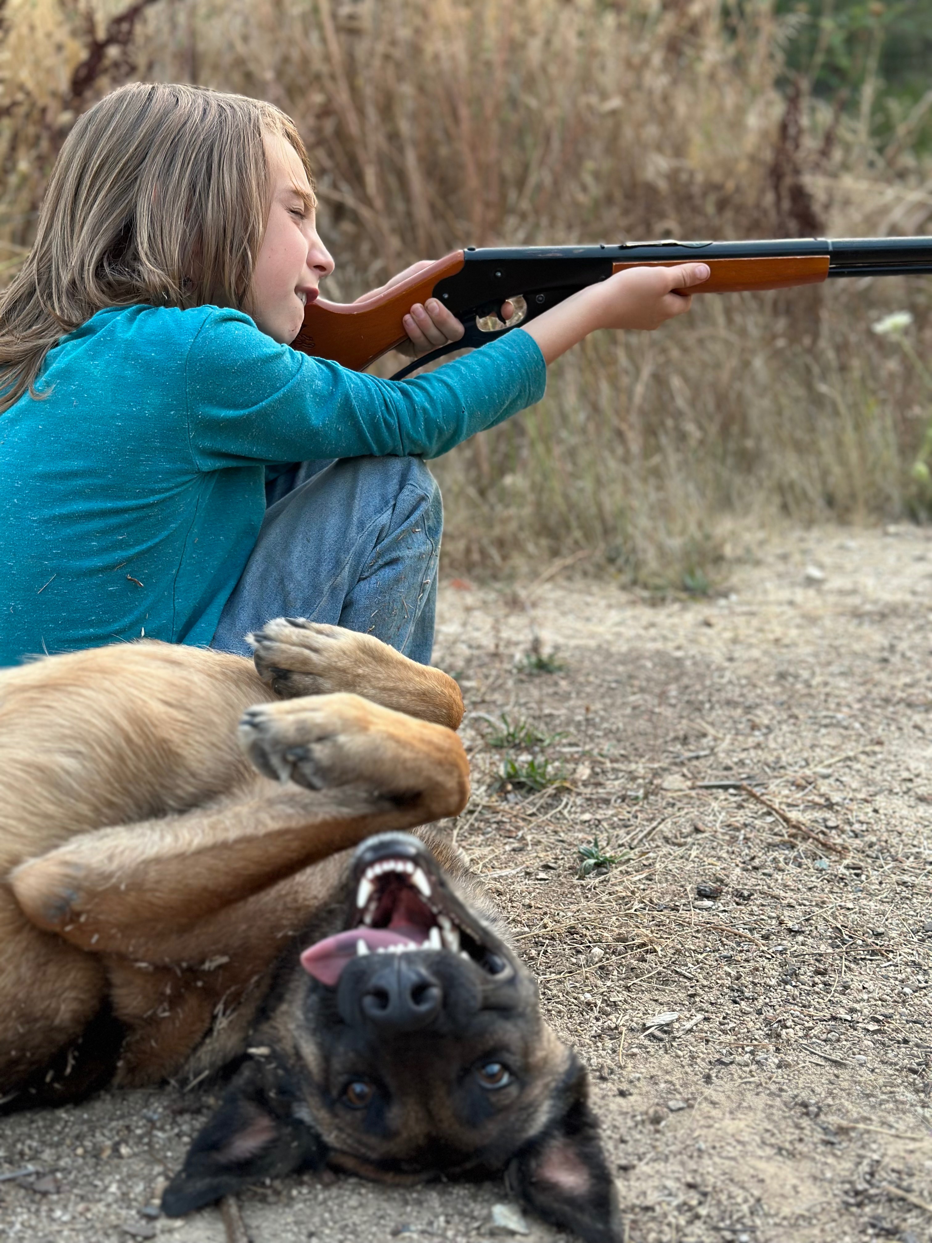 Support Ayla's Emergency Vet Care campaign photo, 4 of 5