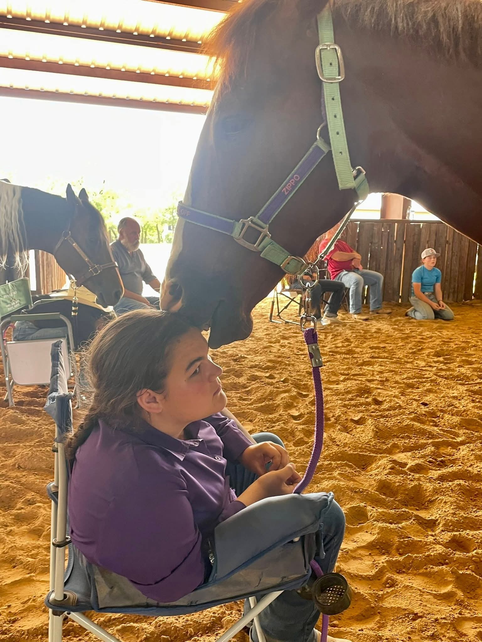 Support Emily After Losing Beloved Zippo campaign photo, 4 of 8