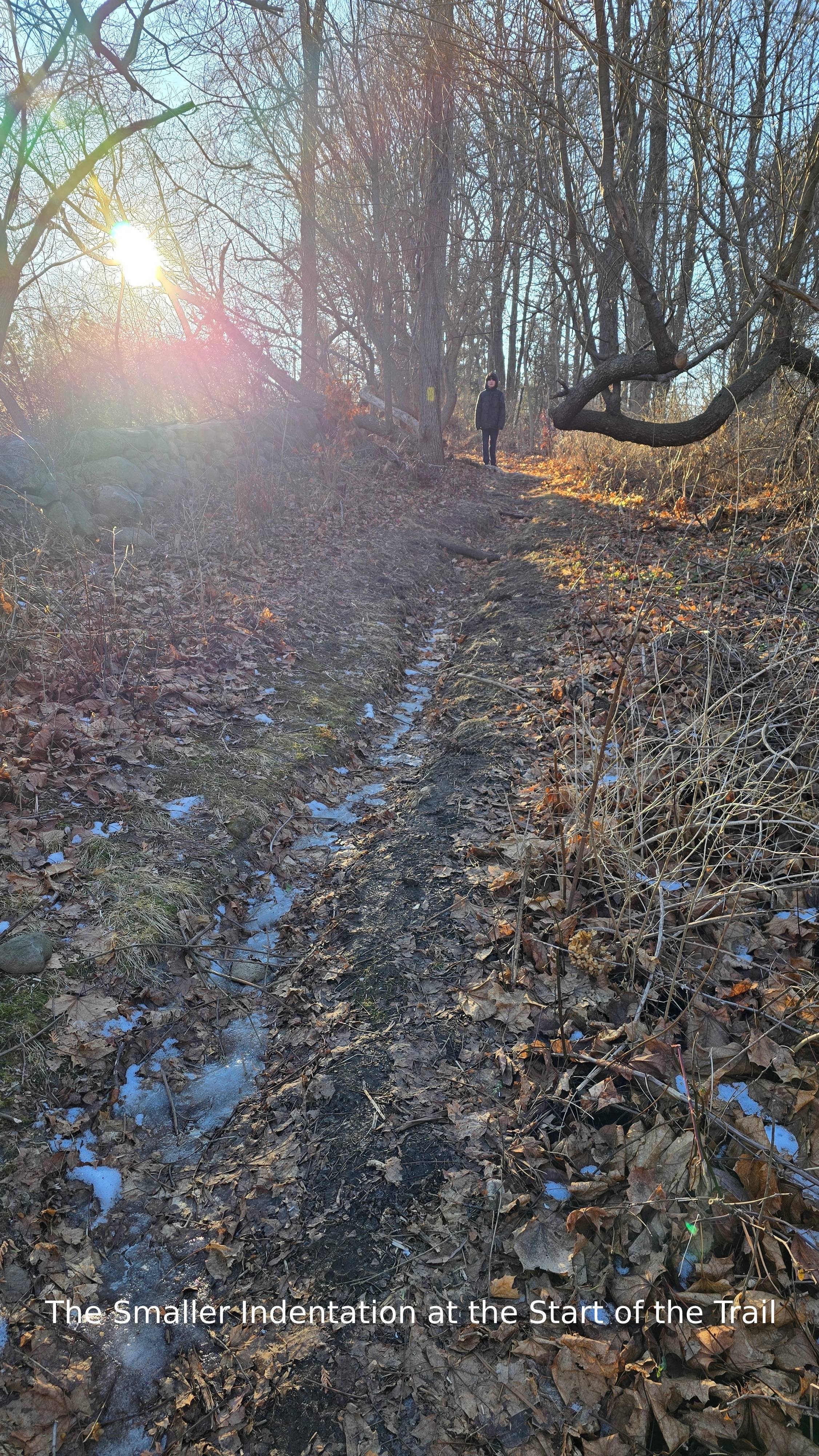 User-uploaded image 2