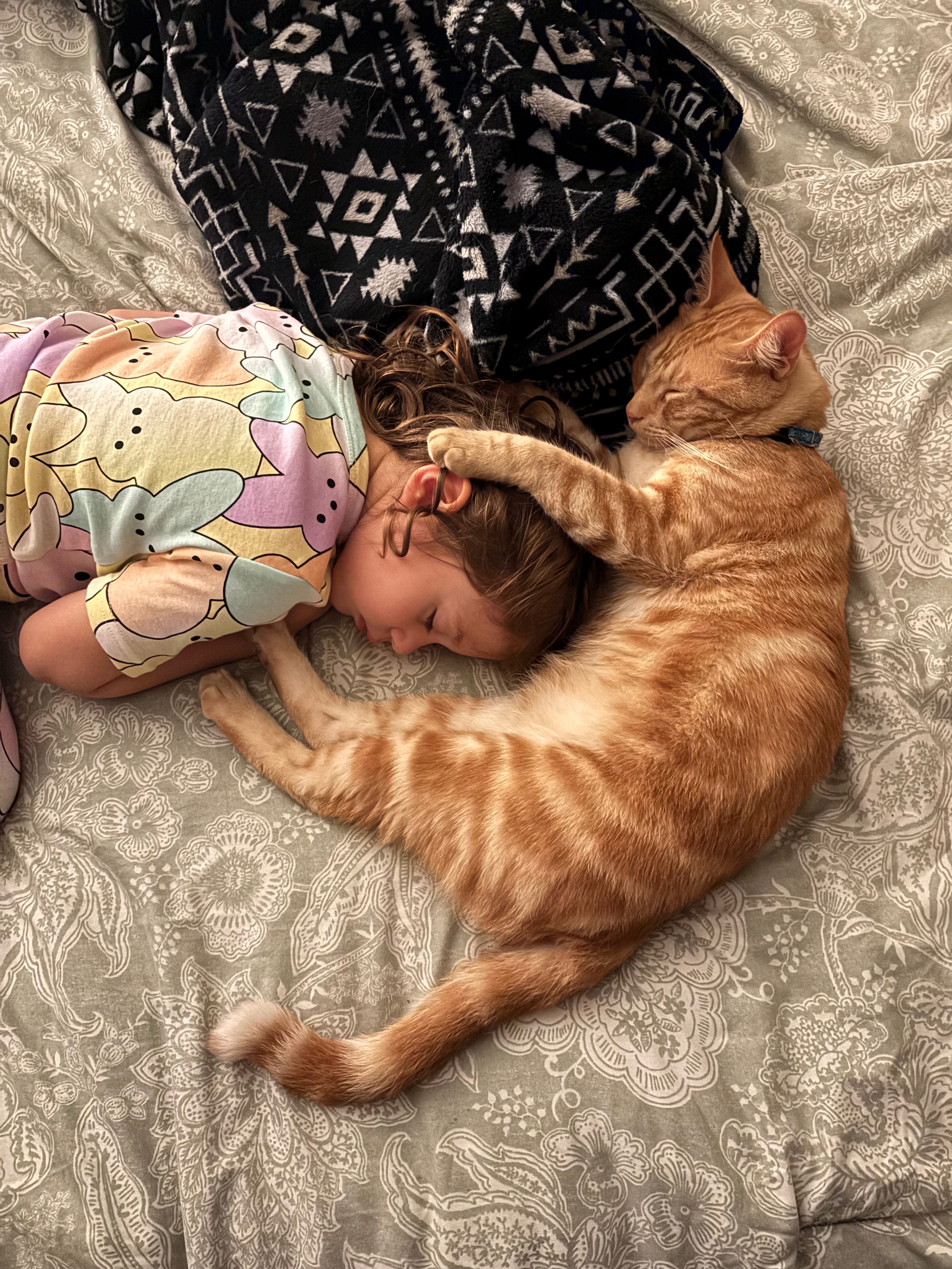 User-uploaded image 1