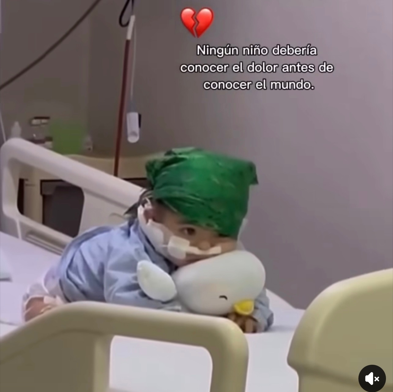 Ayudemos a Sofi a vencer la Leucemia campaign photo, 5 of 8