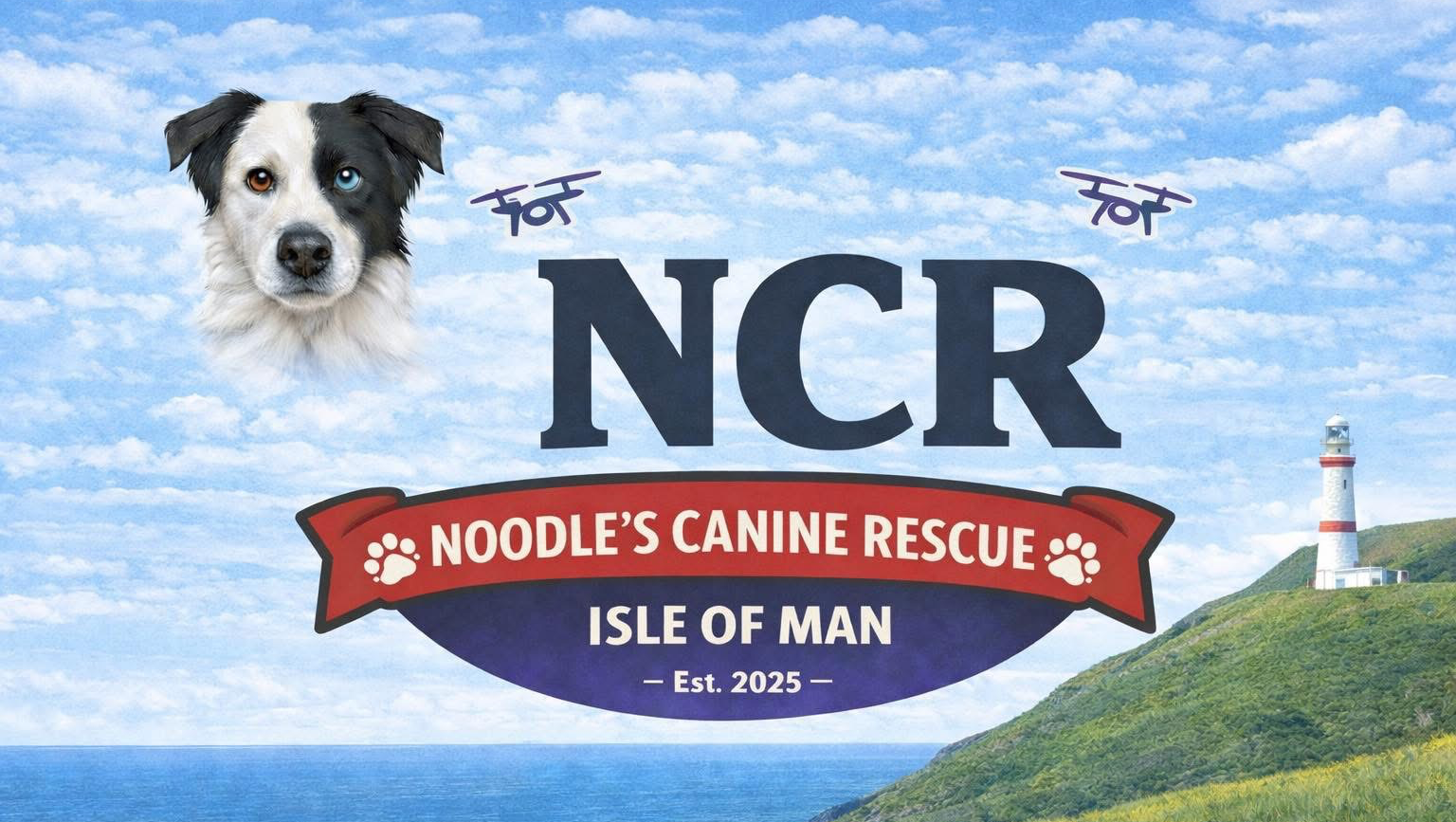 NCR IOM - Noodles Canine Rescue - Fundraiser photo