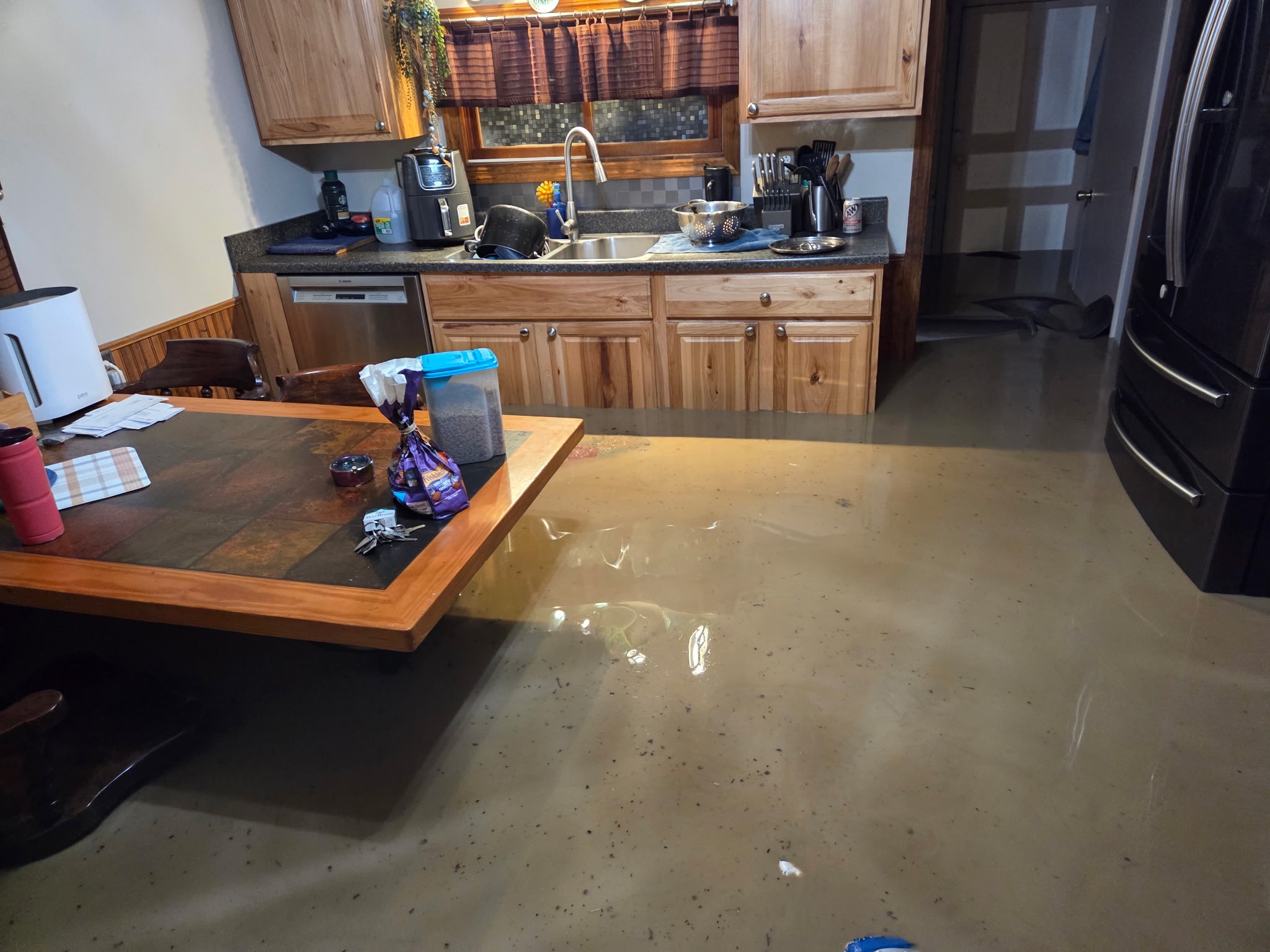 Flood Relief for our Family & Lost Pets campaign photo, 7 of 8