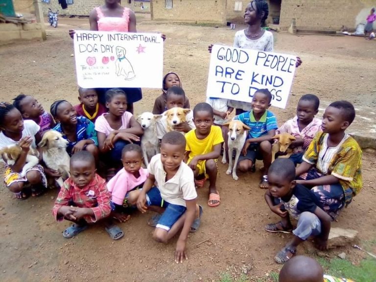 Animal Care and Kindness in Liberia campaign photo, 2 of 8