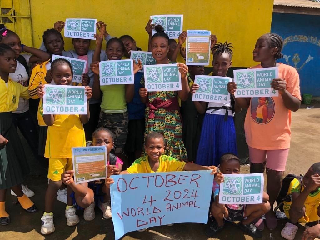 Animal Care and Kindness in Liberia campaign photo, 4 of 8