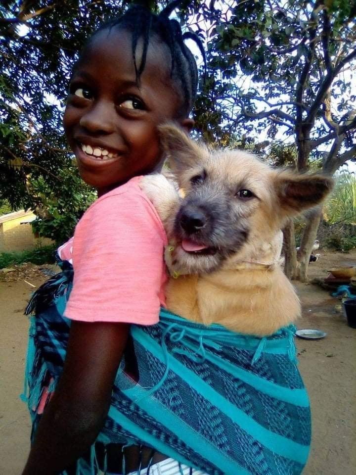 Animal Care and Kindness in Liberia campaign photo, 6 of 8