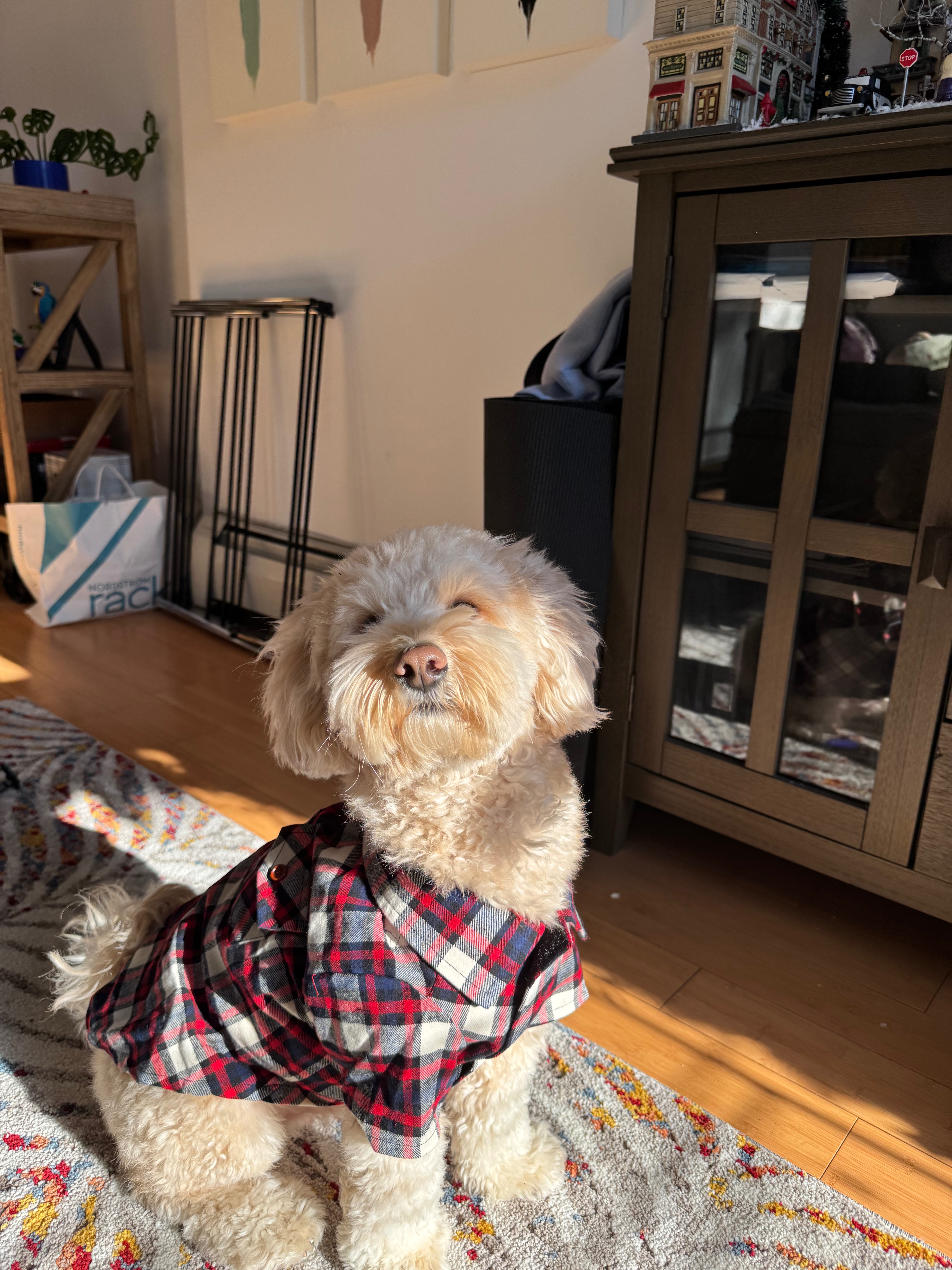 User-uploaded image 1