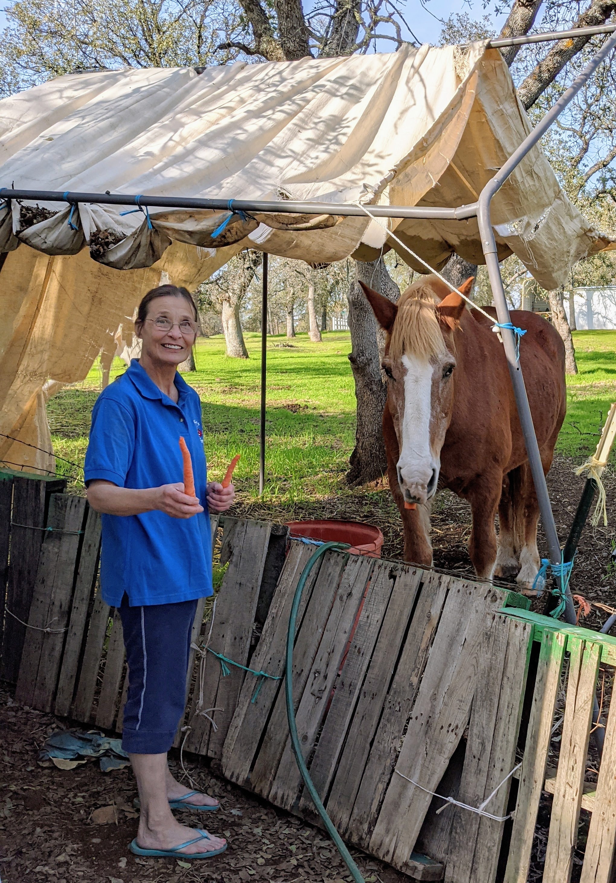 Donate to Coco Elliott's Vet Medicine Education Fund campaign photo, 4 of 6